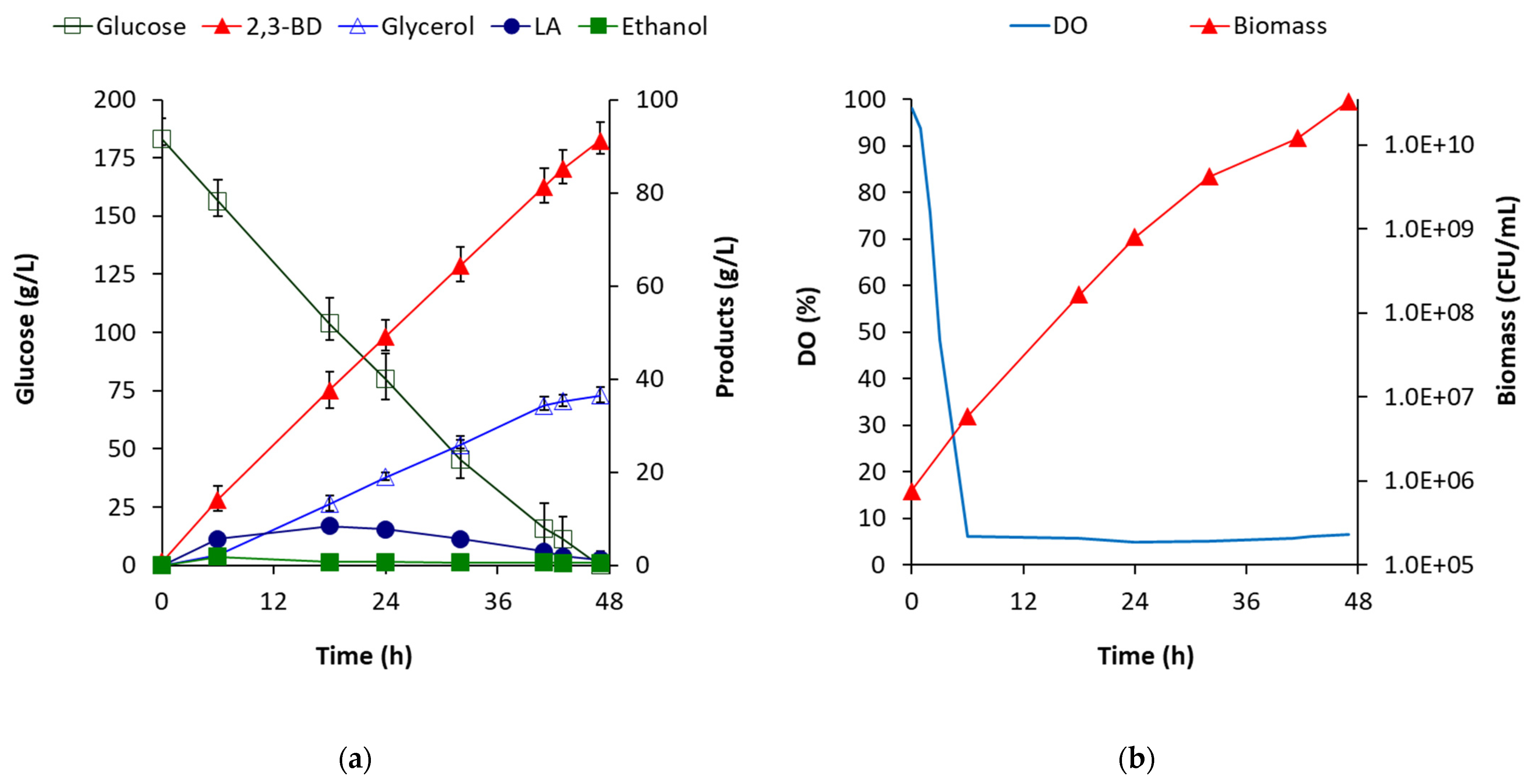 Fermentation 07 00118 g002