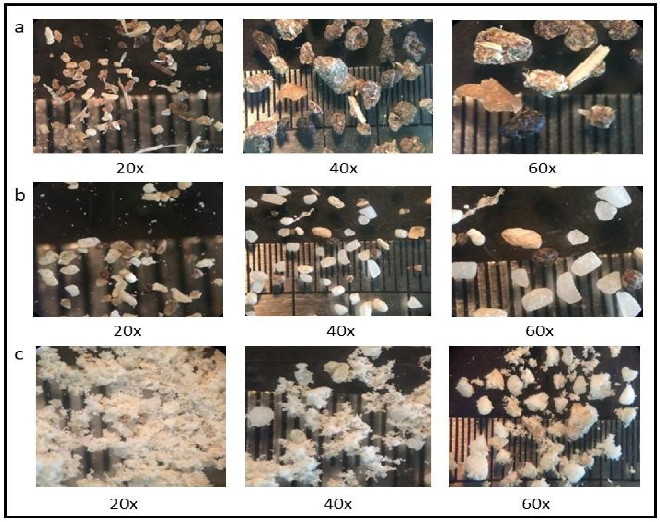 Fermentation 07 00149 g001
