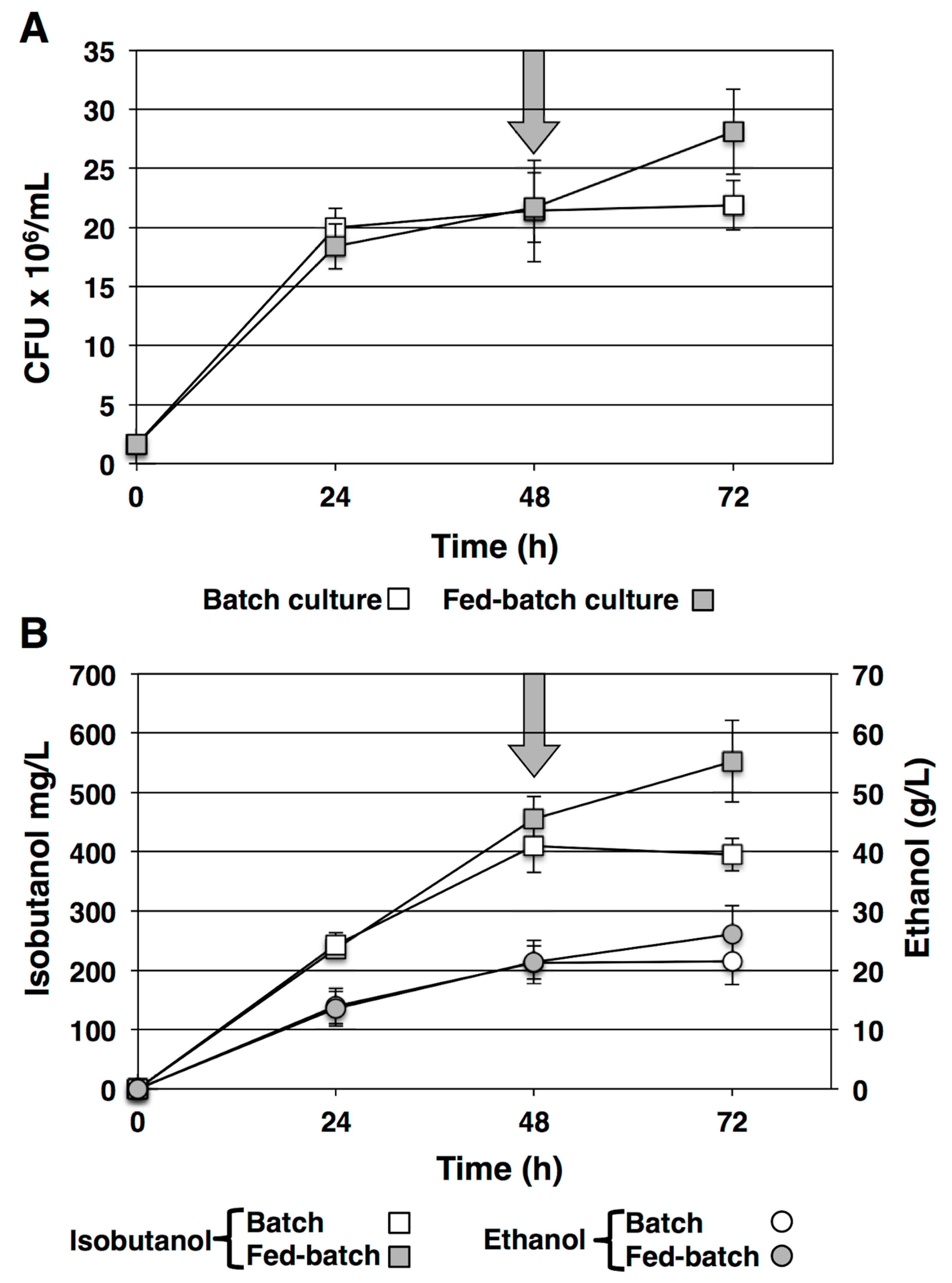 Fermentation 07 00150 g002