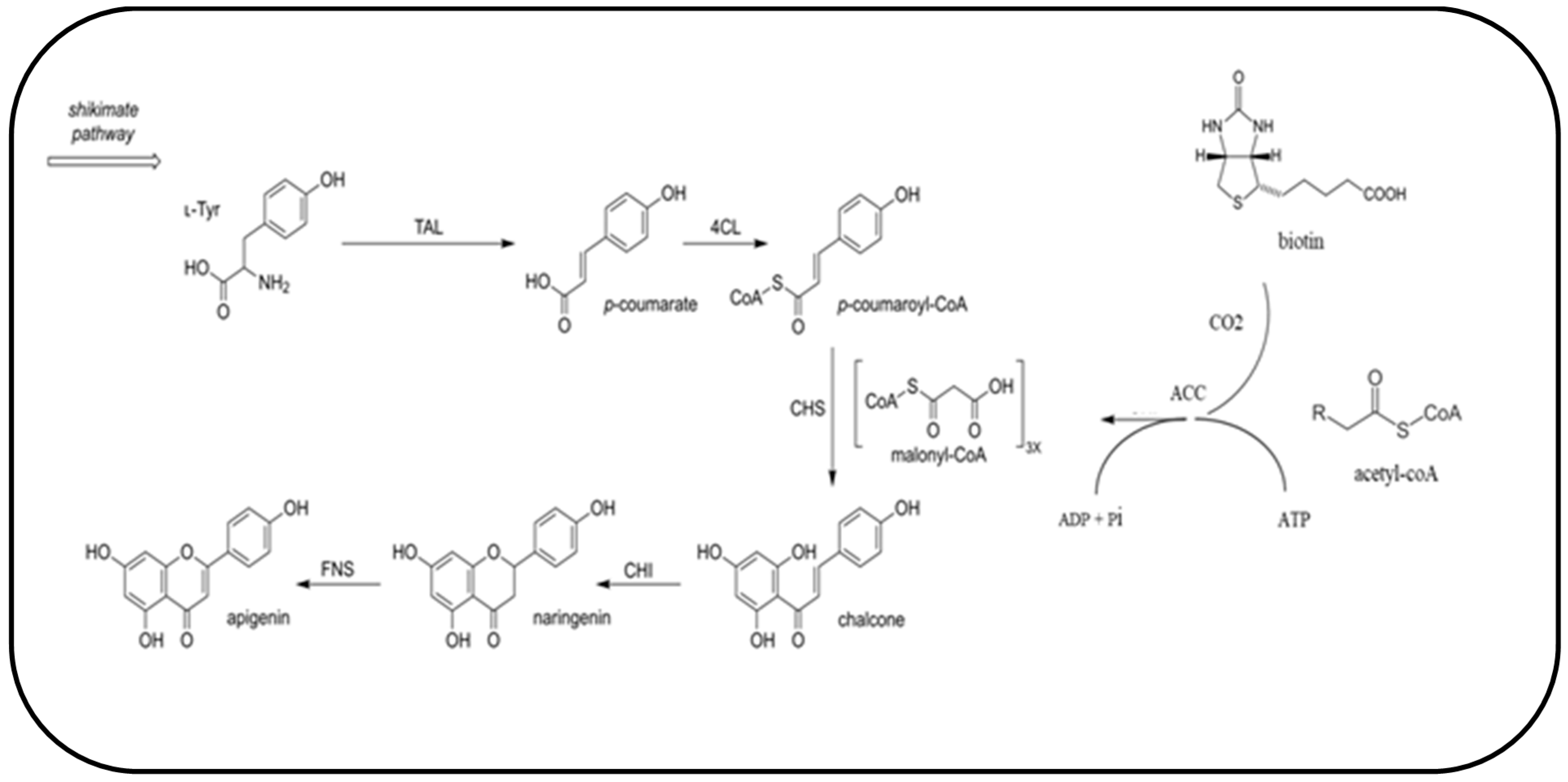 Fermentation 07 00161 g001 Fermentation 07 00161 g001