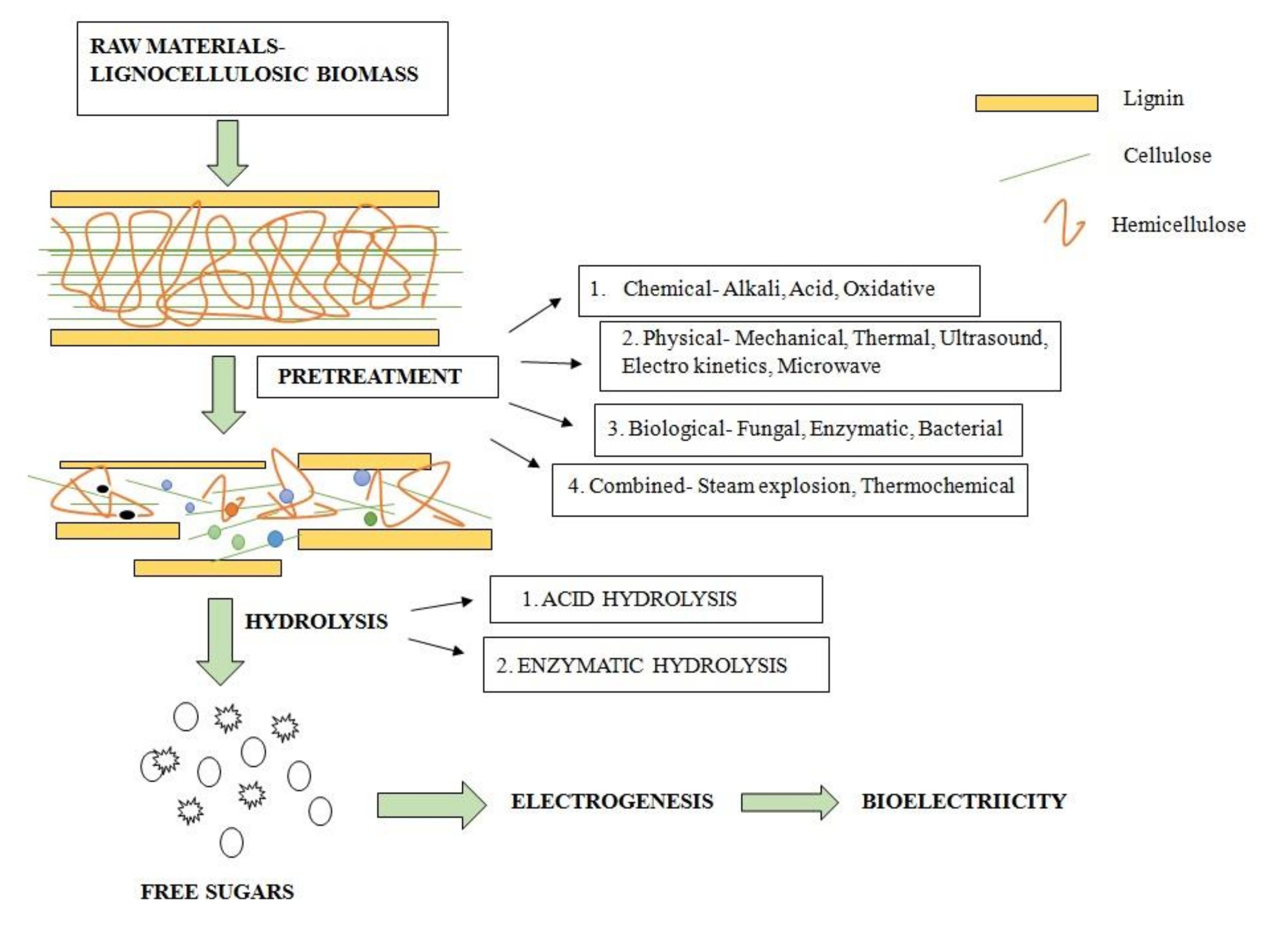Fermentation 07 00169 g001 Fermentation 07 00169 g001