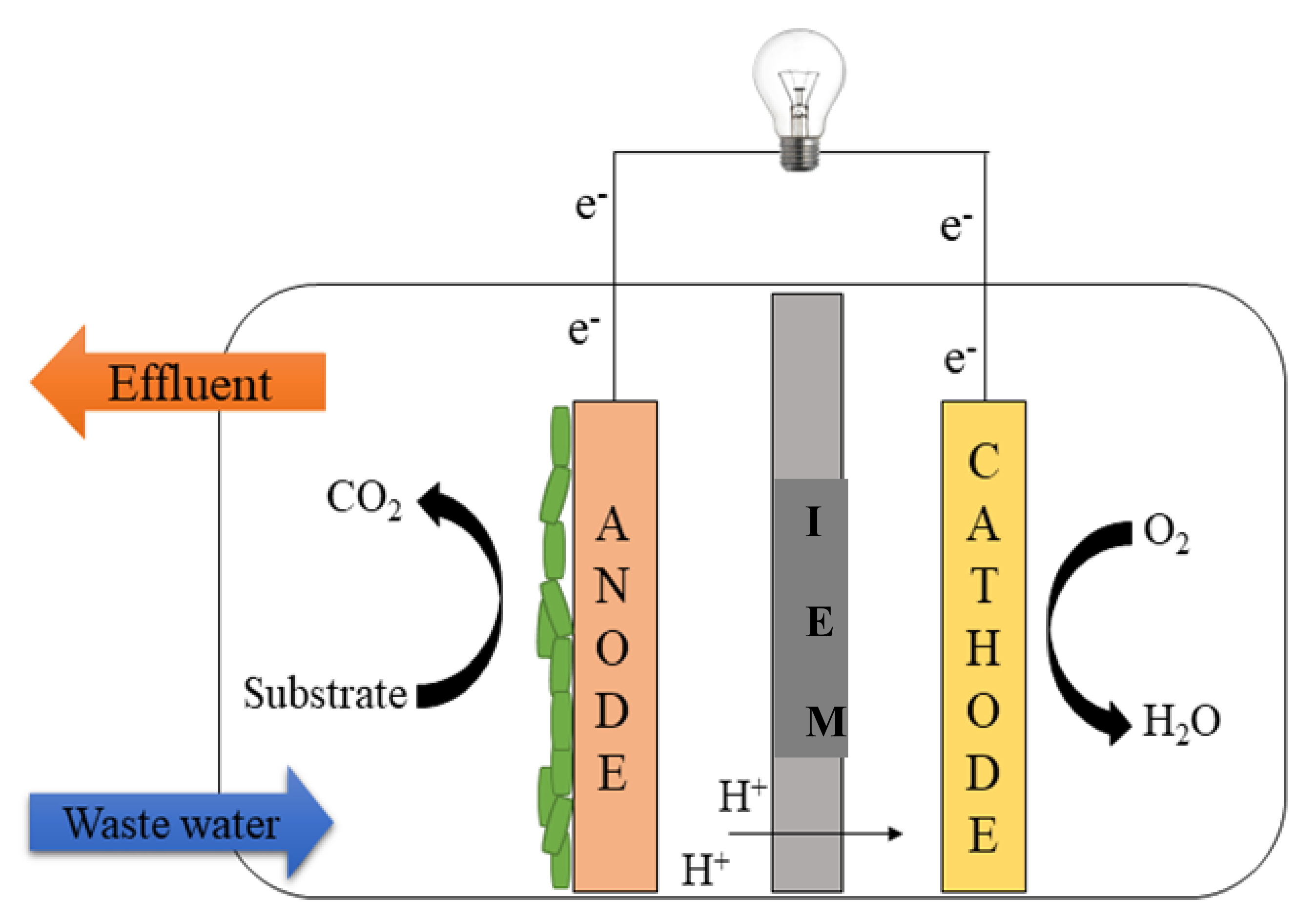 Fermentation 07 00169 g005 Fermentation 07 00169 g005