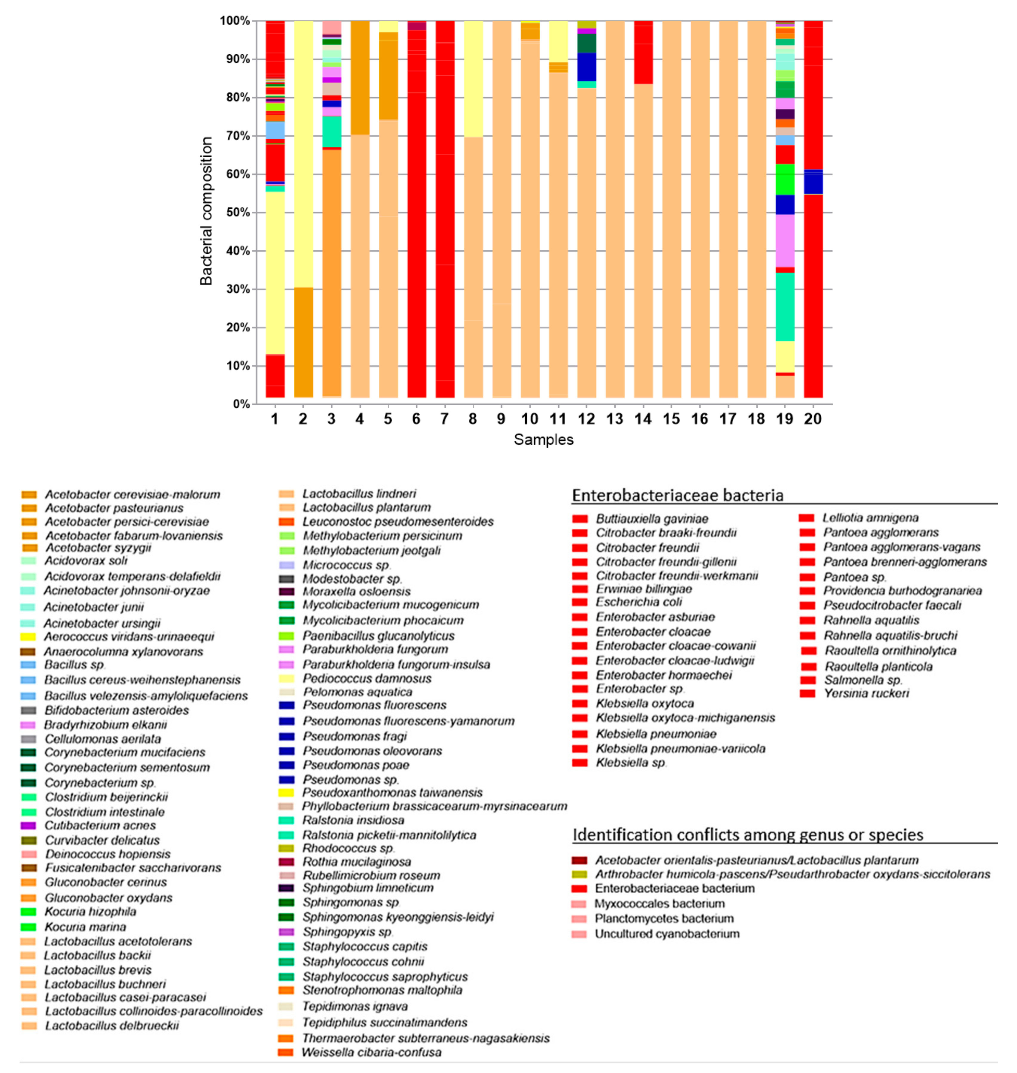 Fermentation 07 00174 g001