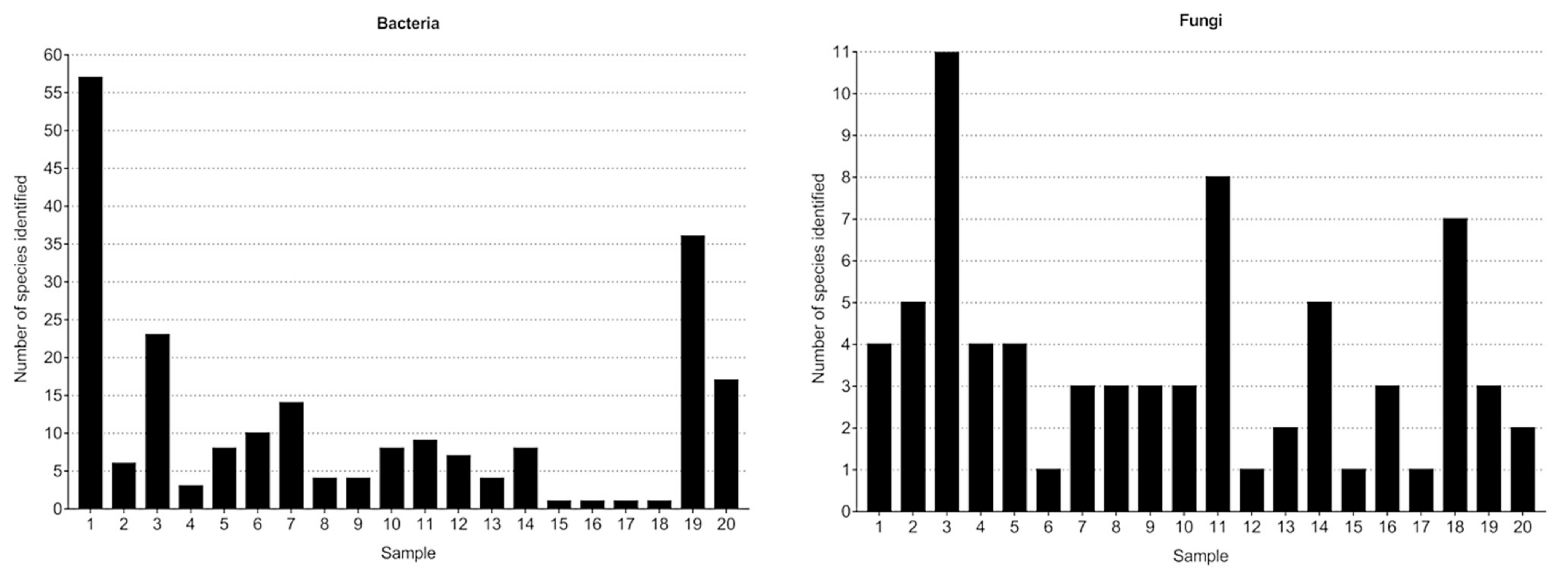 Fermentation 07 00174 g002