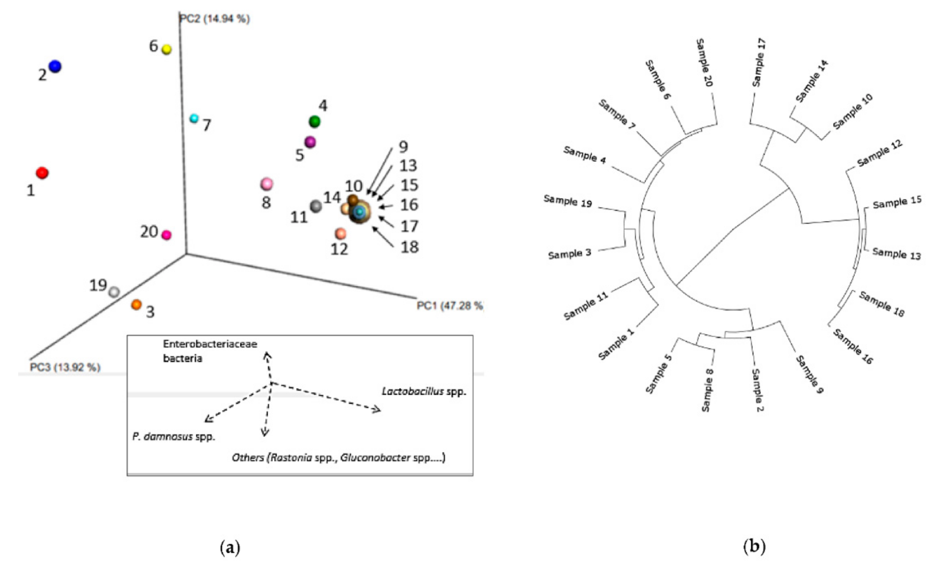 Fermentation 07 00174 g003