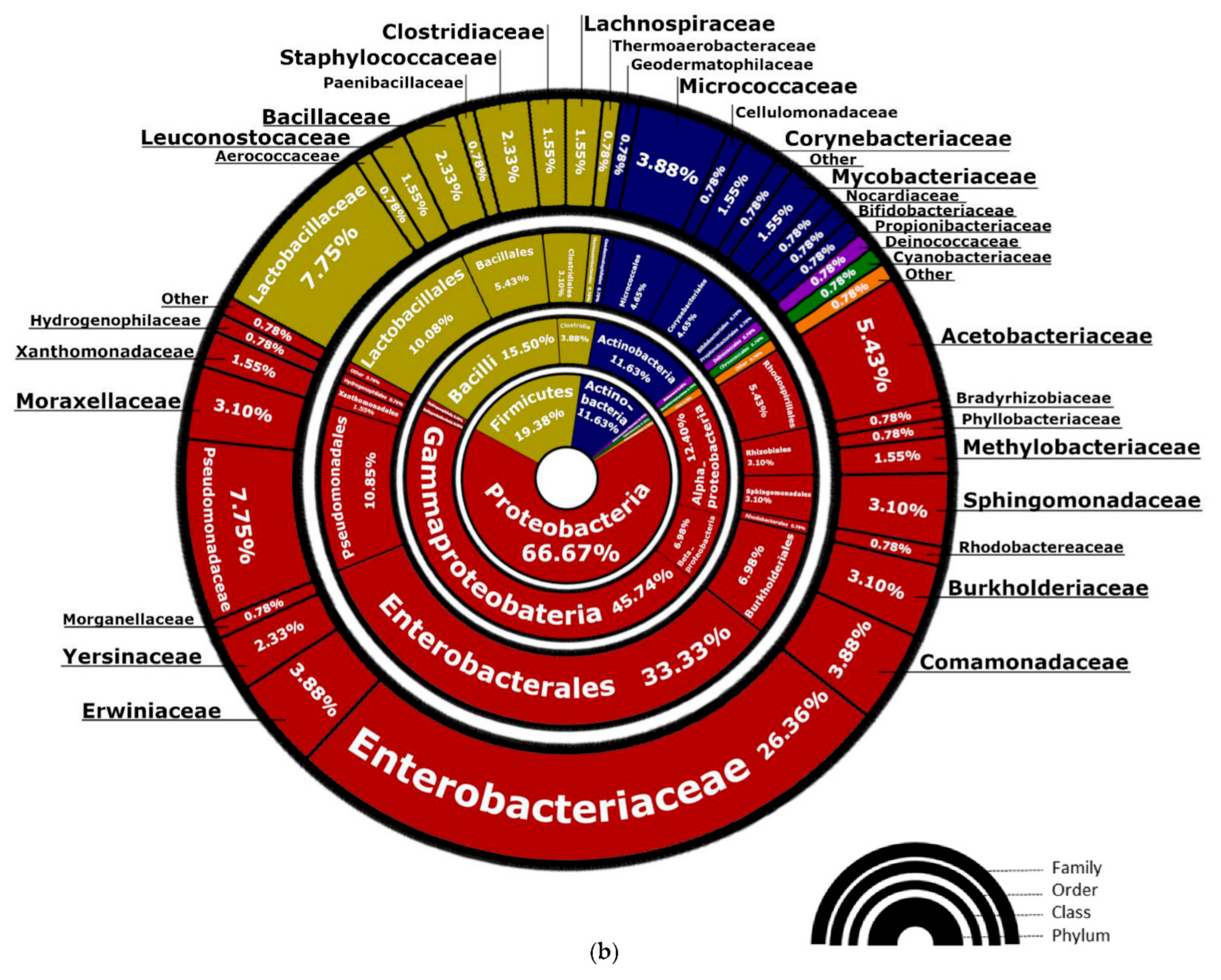 Fermentation 07 00174 g004b