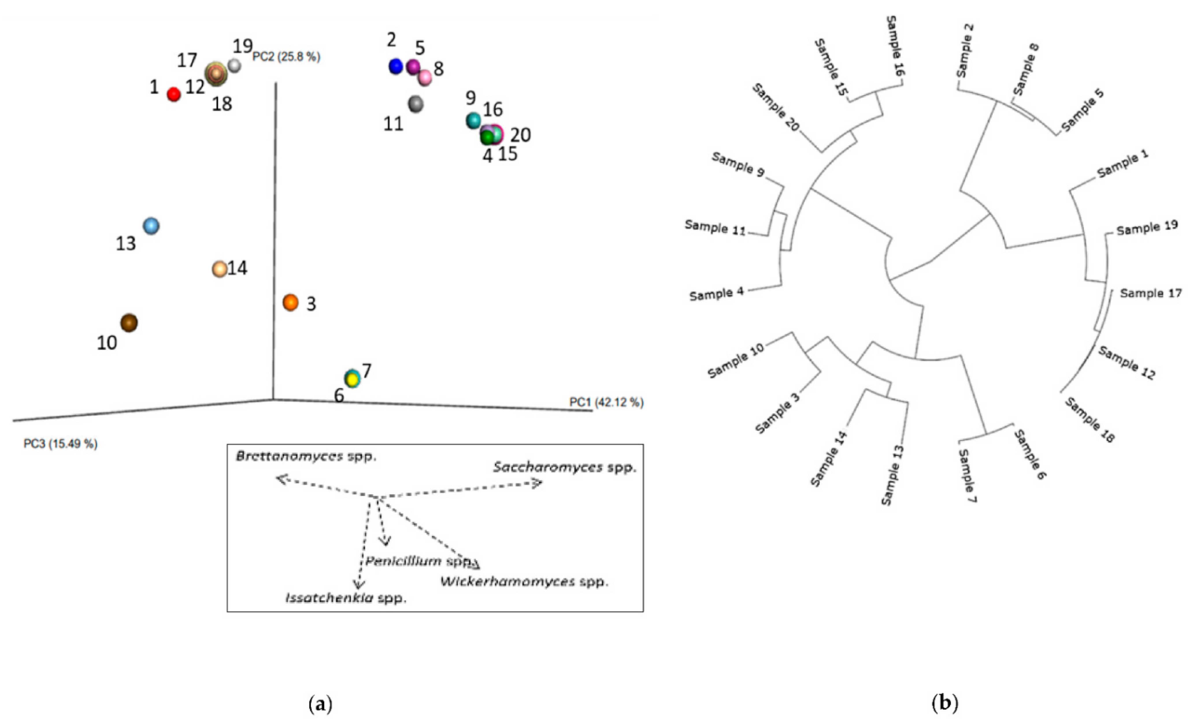 Fermentation 07 00174 g006