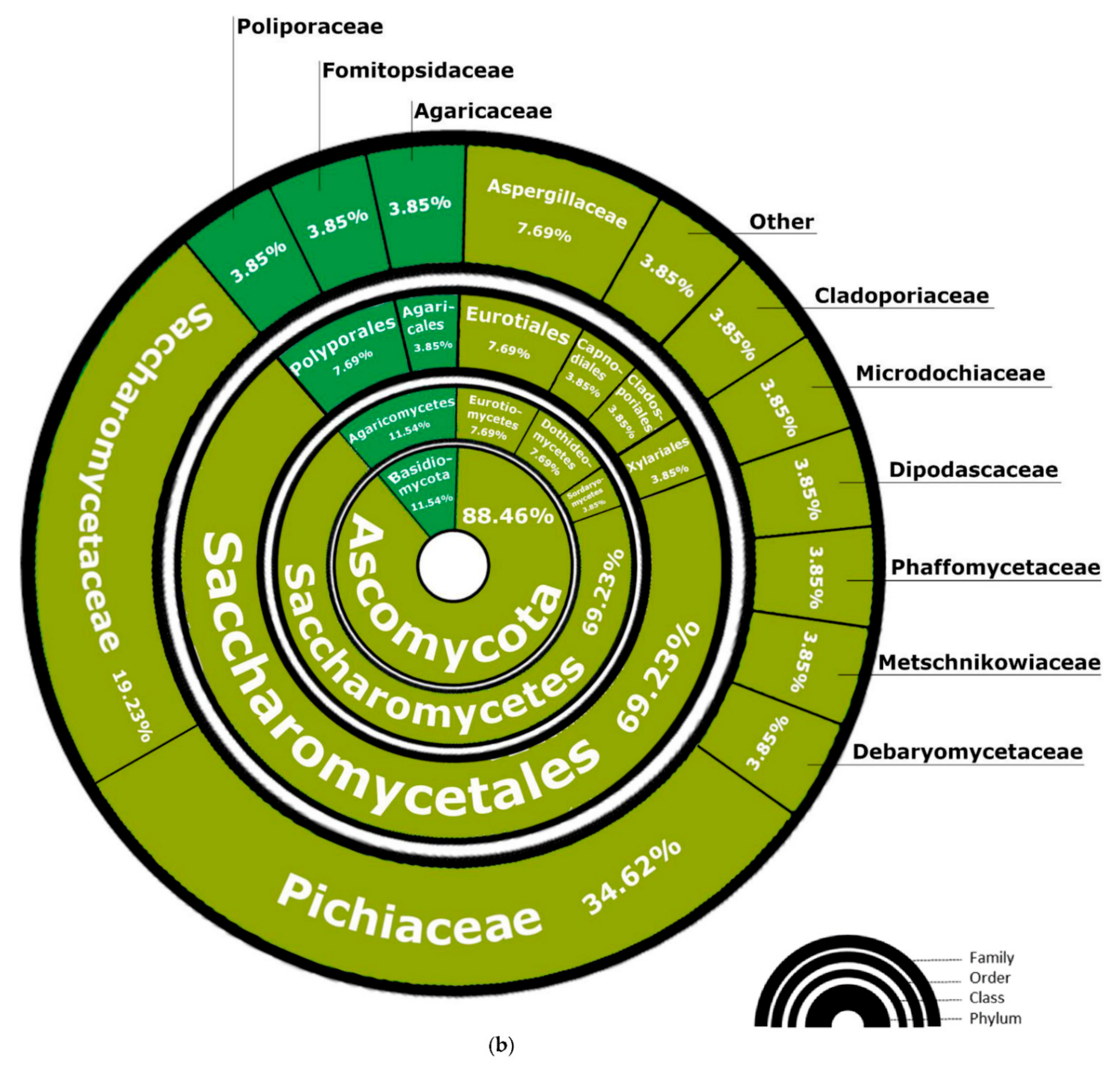 Fermentation 07 00174 g007b