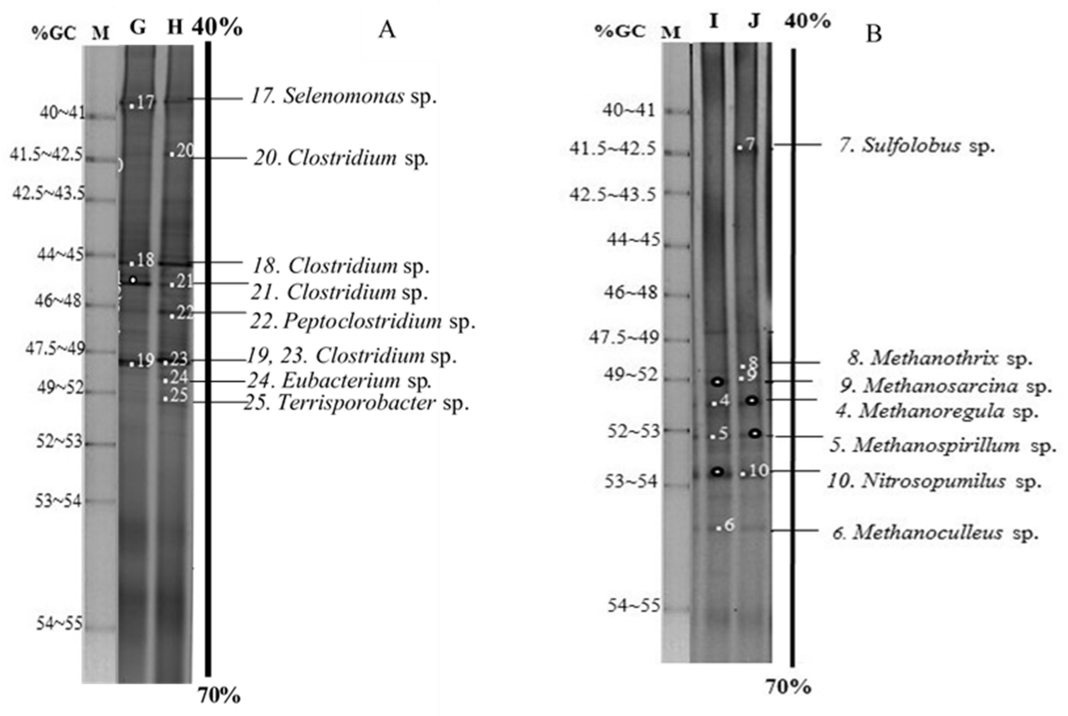 Fermentation 07 00175 g005