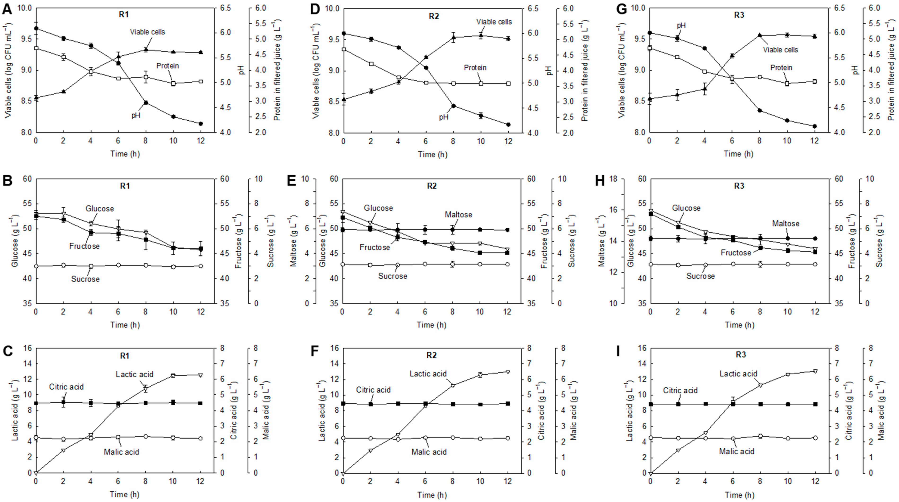Fermentation 07 00178 g001