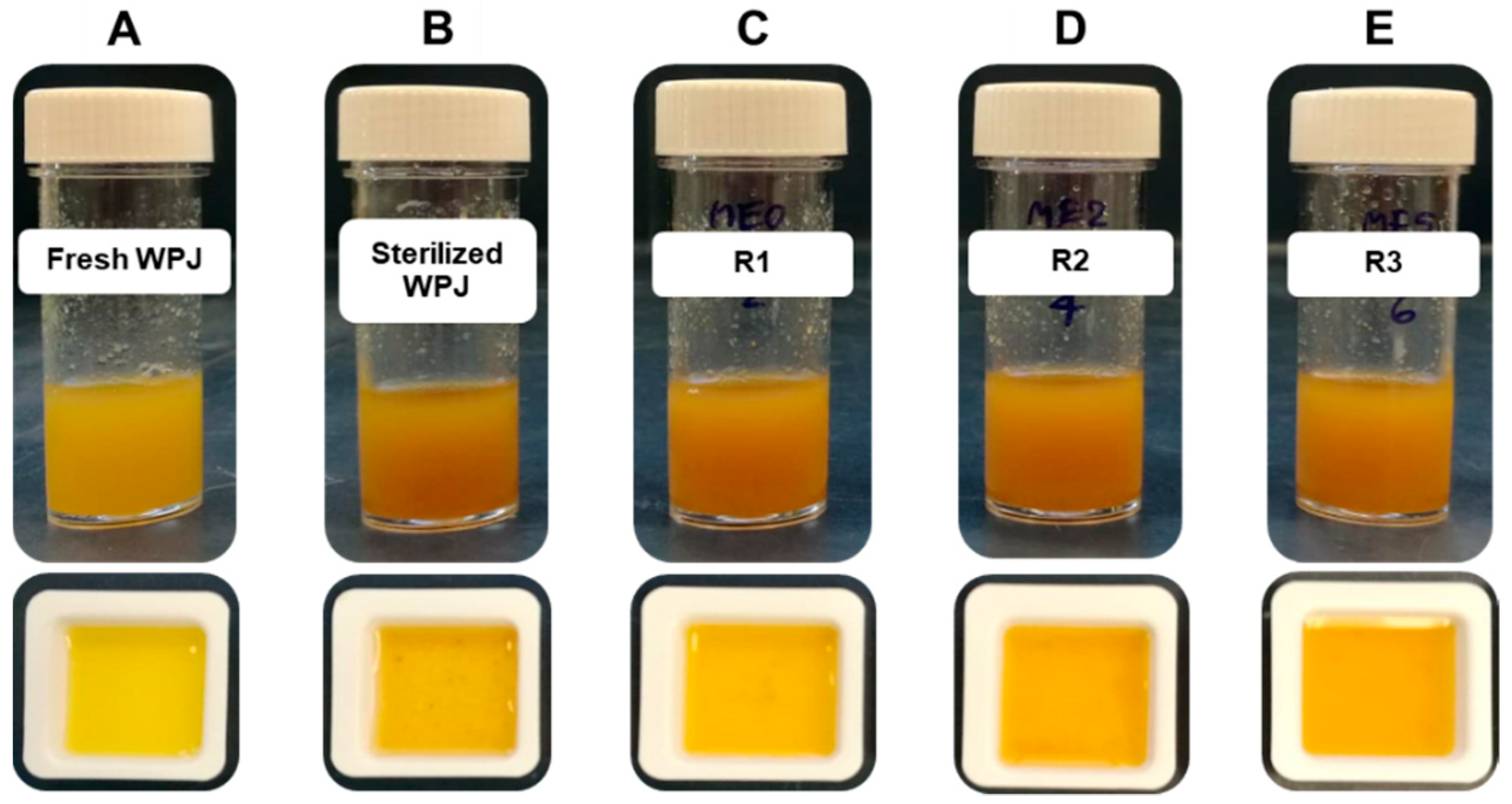 Fermentation 07 00178 g004