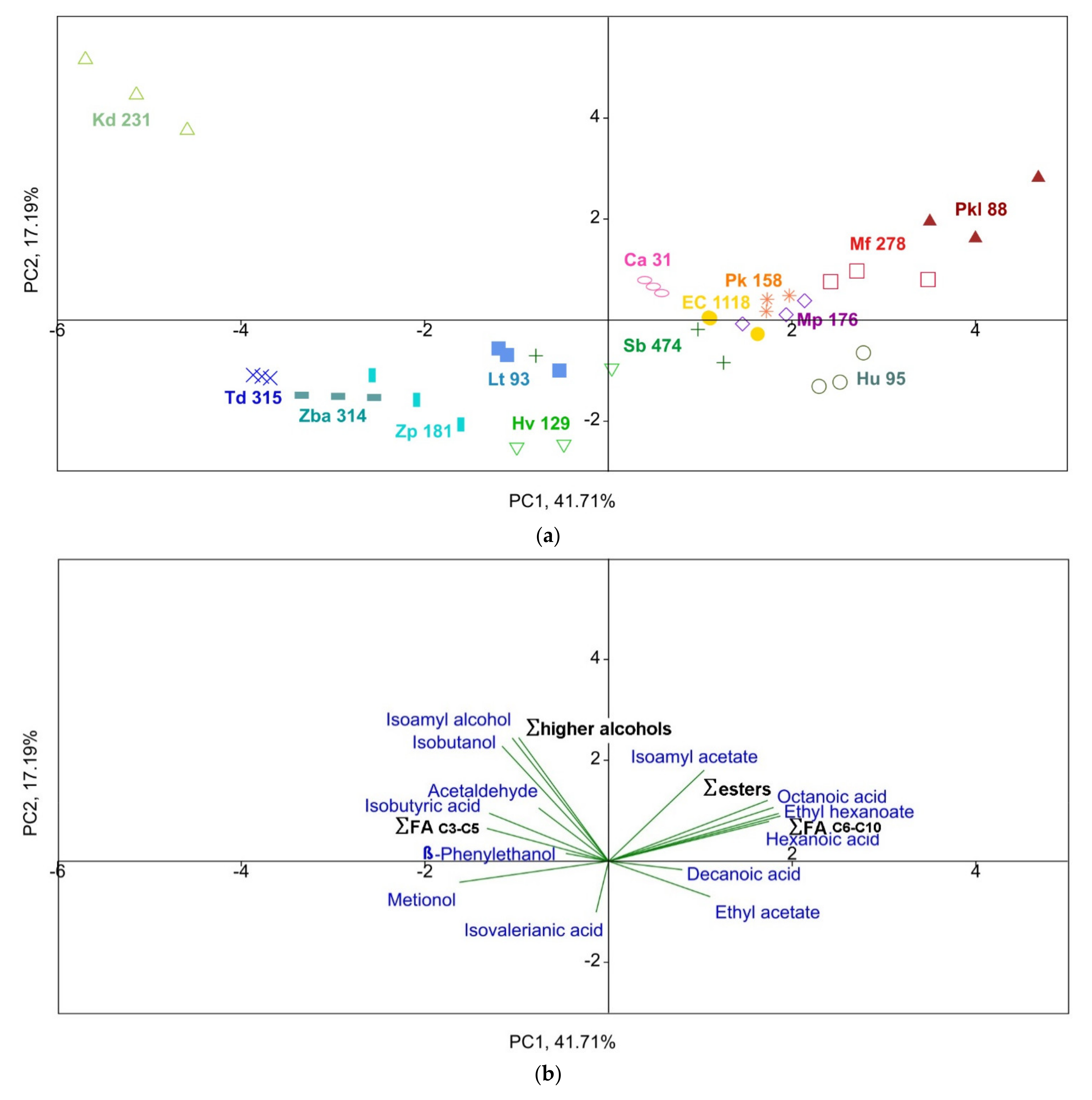 Fermentation 07 00183 g003