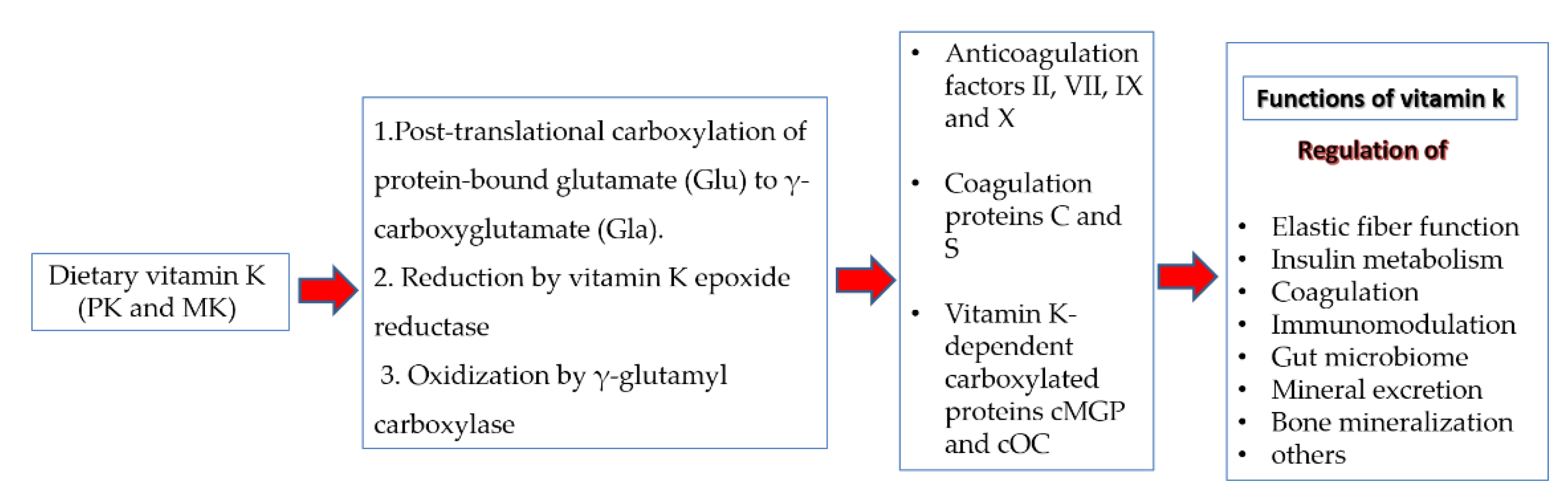 Fermentation 07 00202 g001
