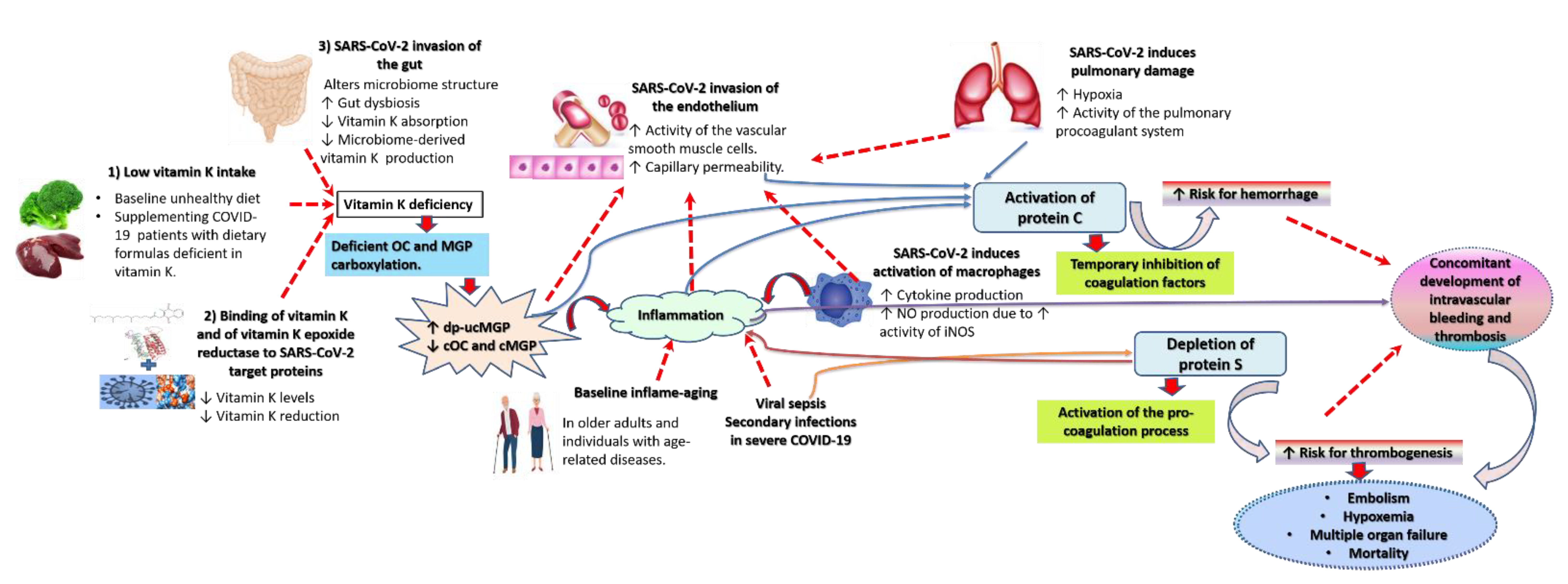 Fermentation 07 00202 g002