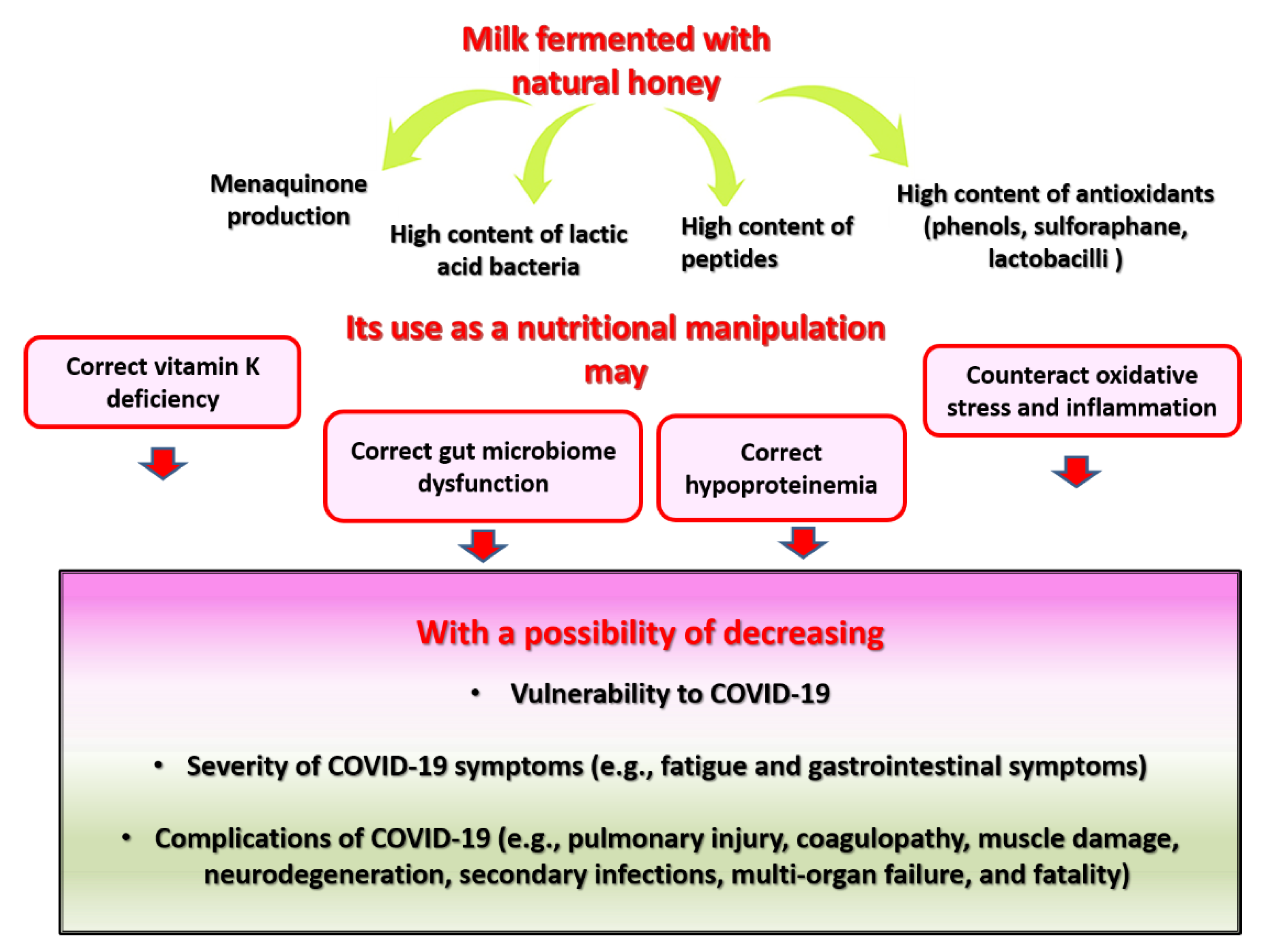 Fermentation 07 00202 g004