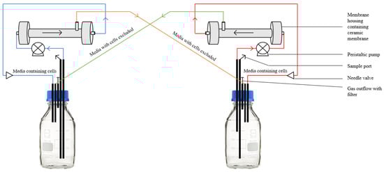 Fermentation 07 00206 g002