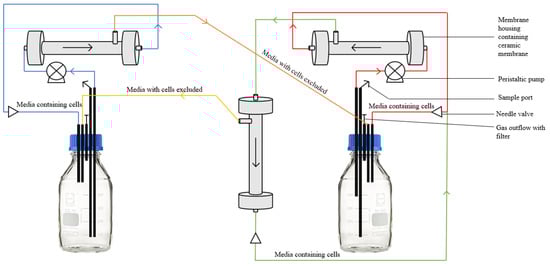 Fermentation 07 00206 g003