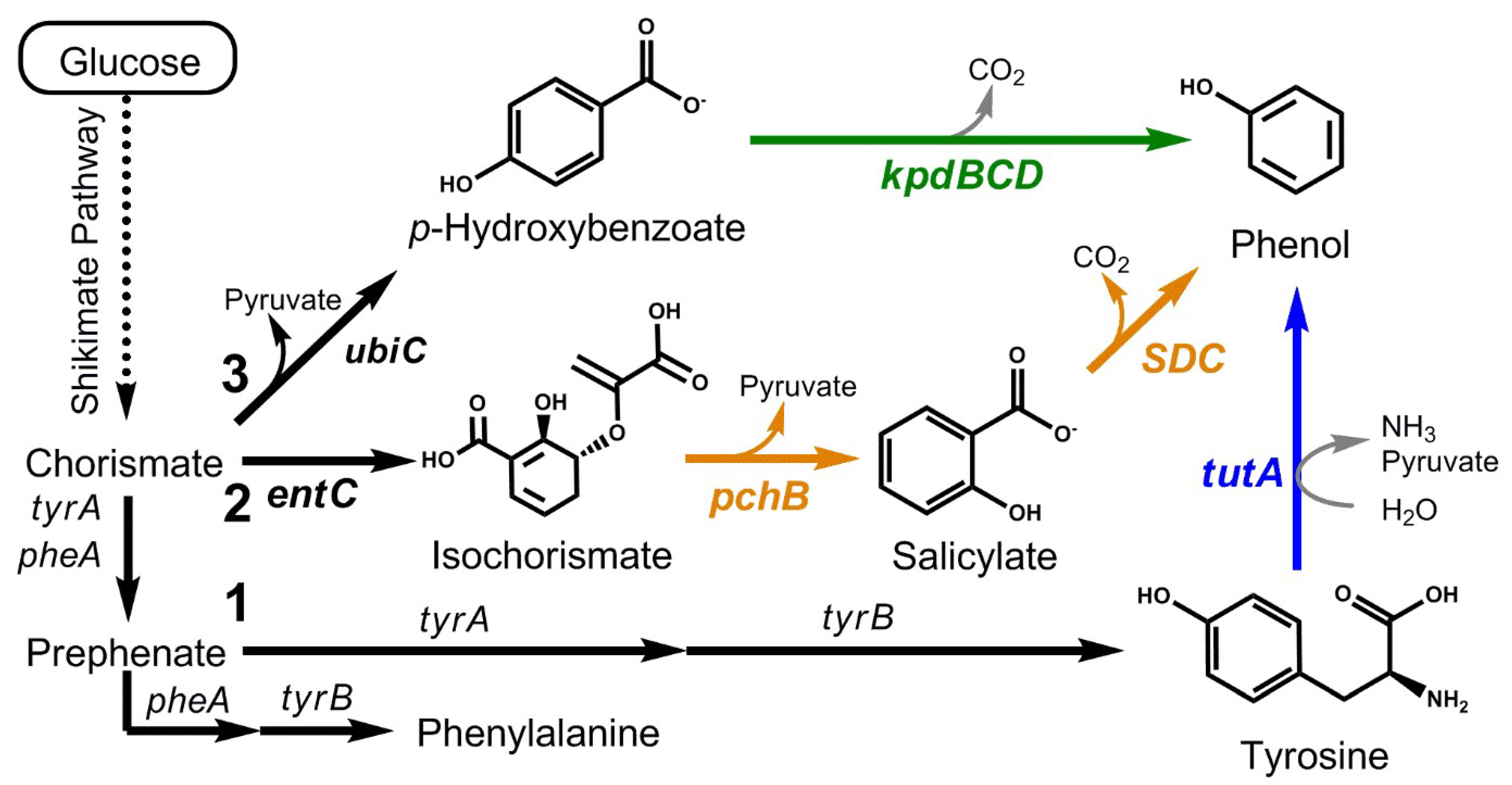 Fermentation 07 00216 g001