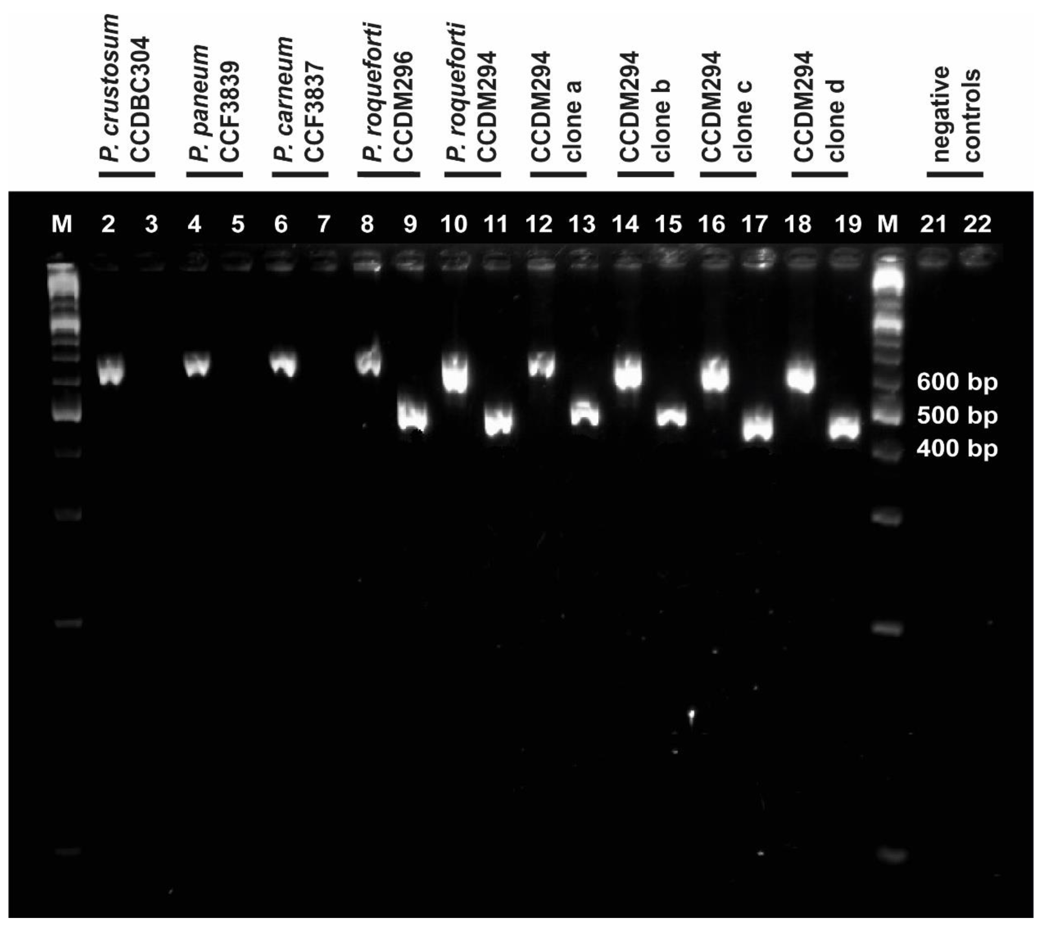 Fermentation 07 00222 g003