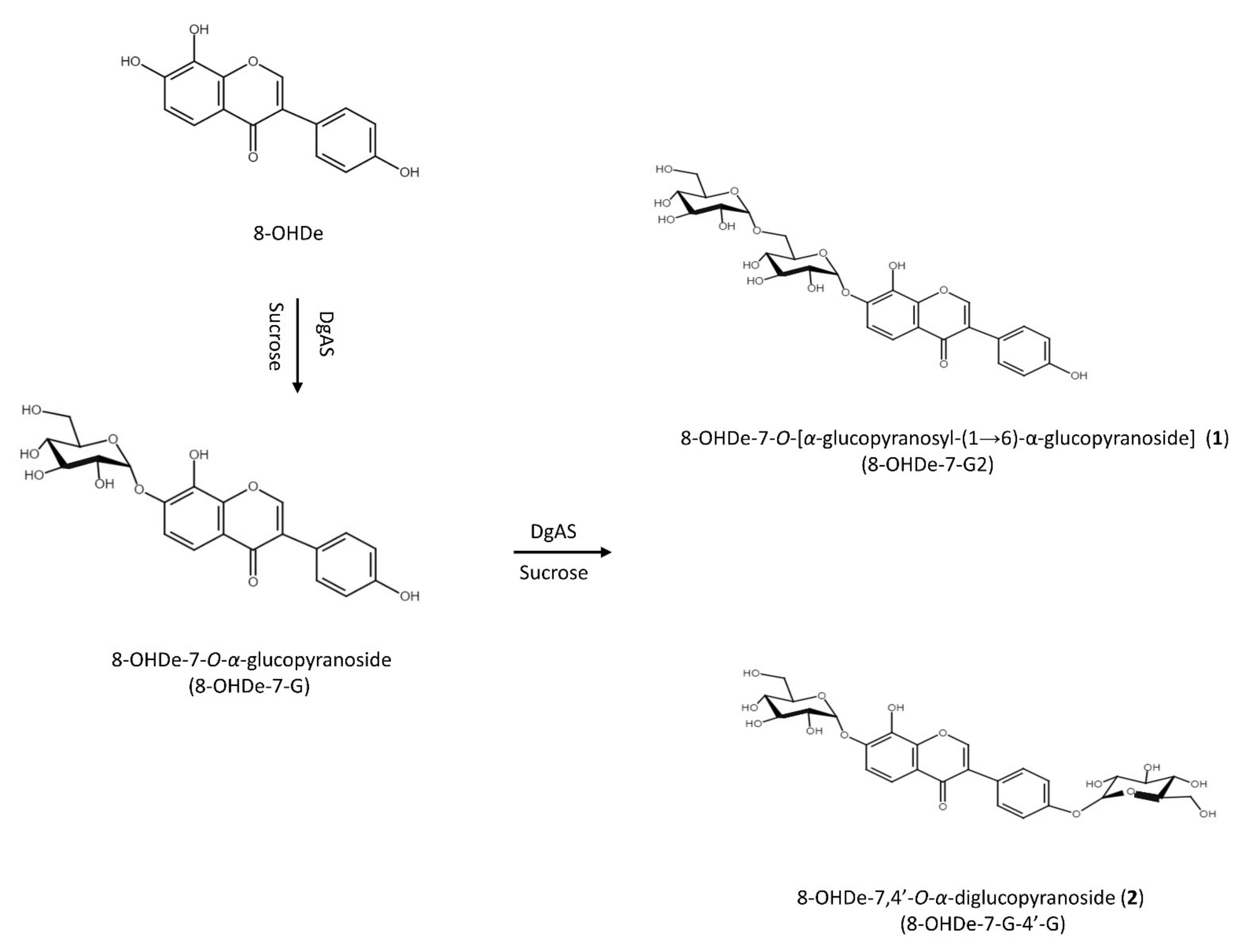 Fermentation 07 00232 g003