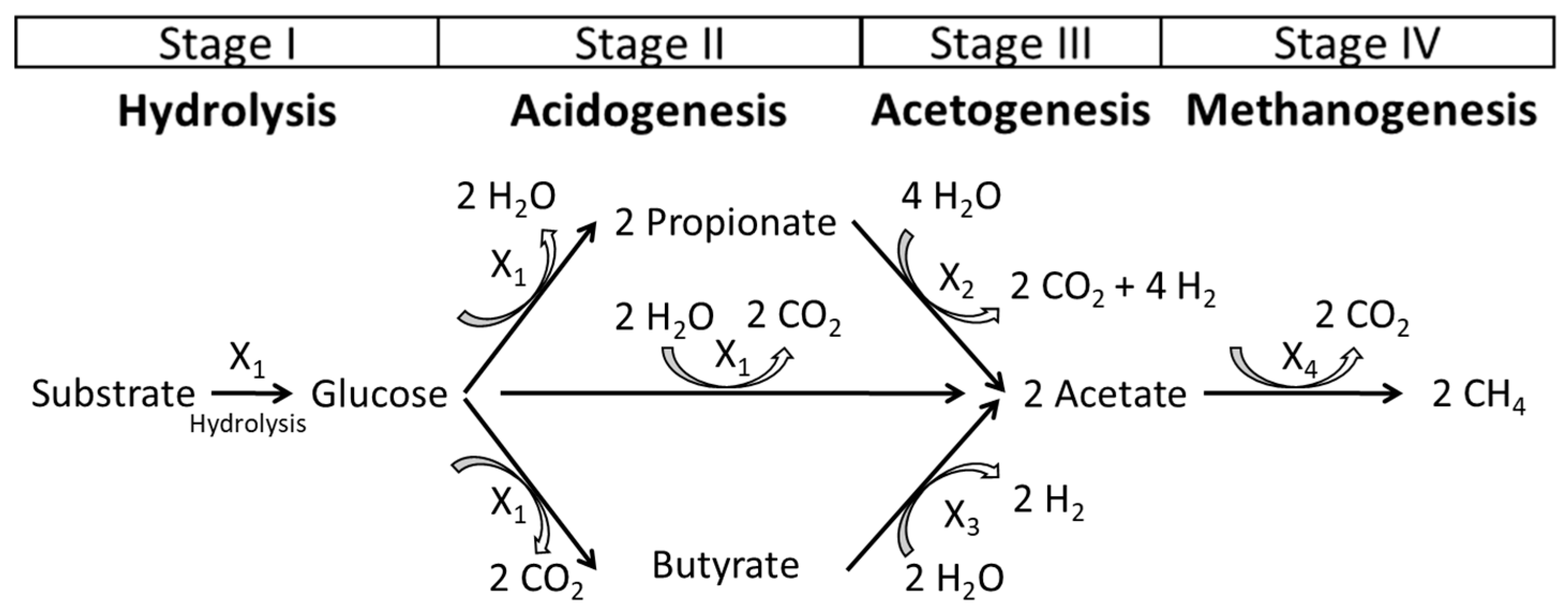 Fermentation 07 00237 g001