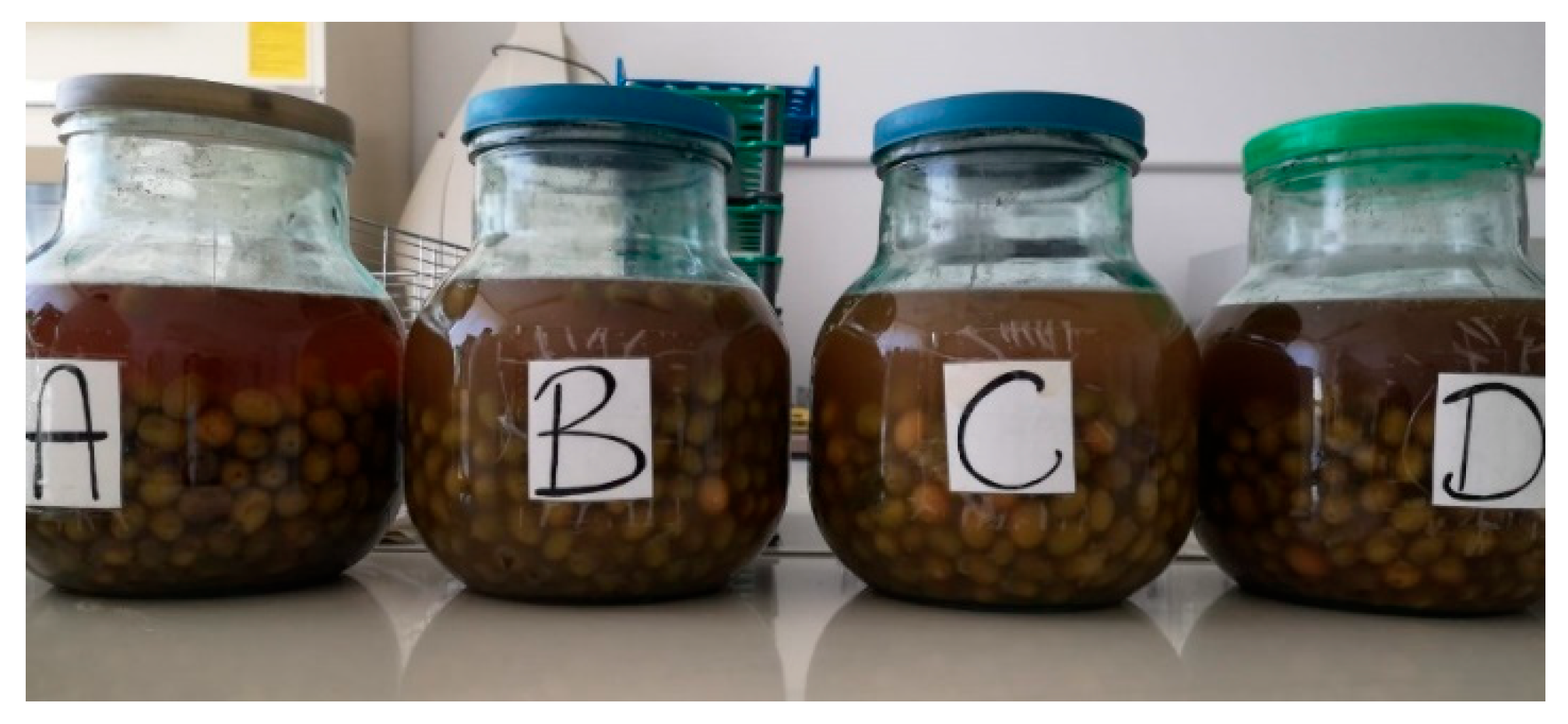 Fermentation 07 00239 g003