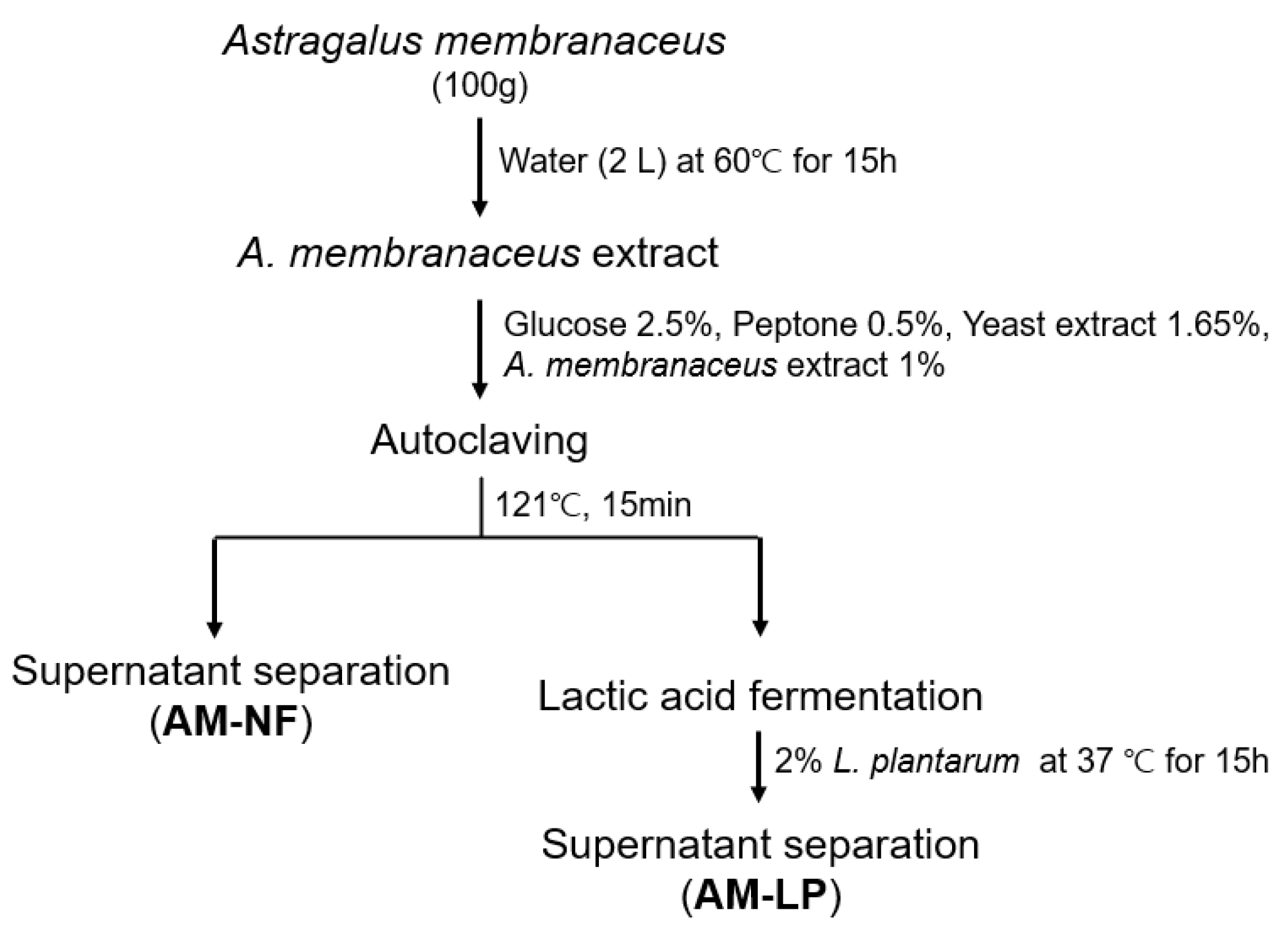 Fermentation 07 00252 g001