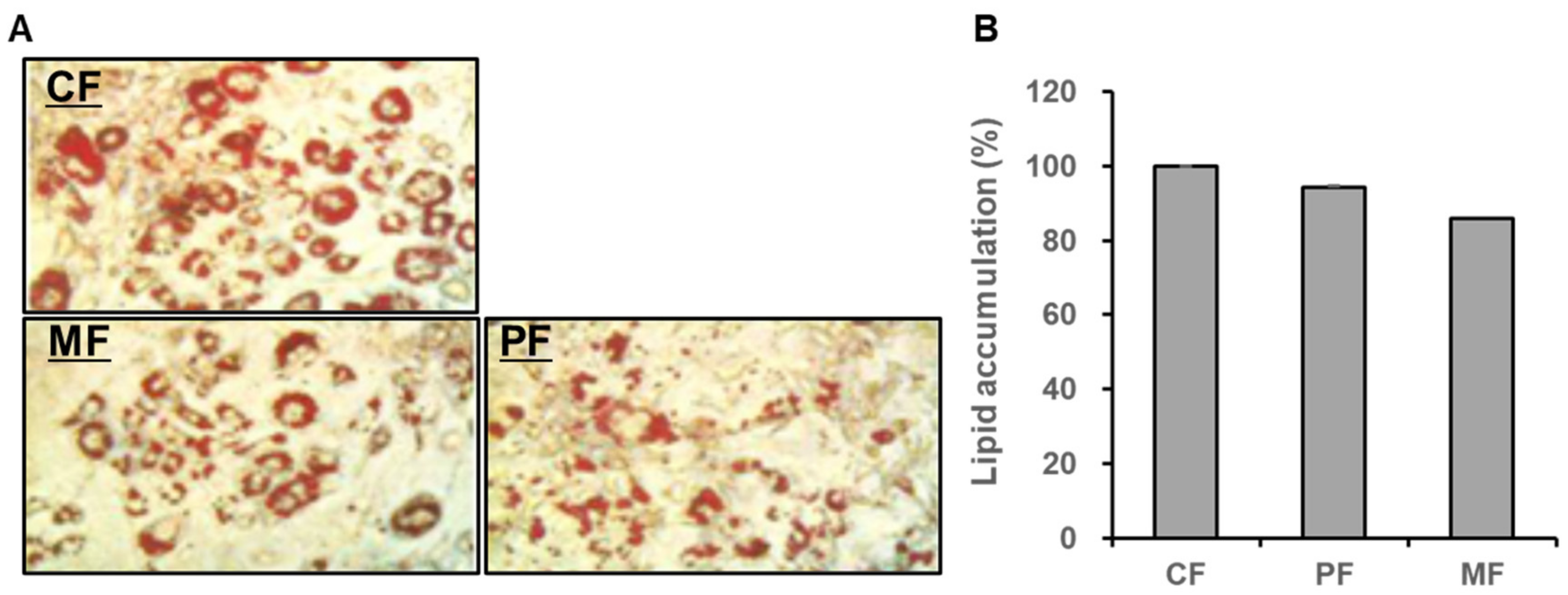 Fermentation 07 00269 g002