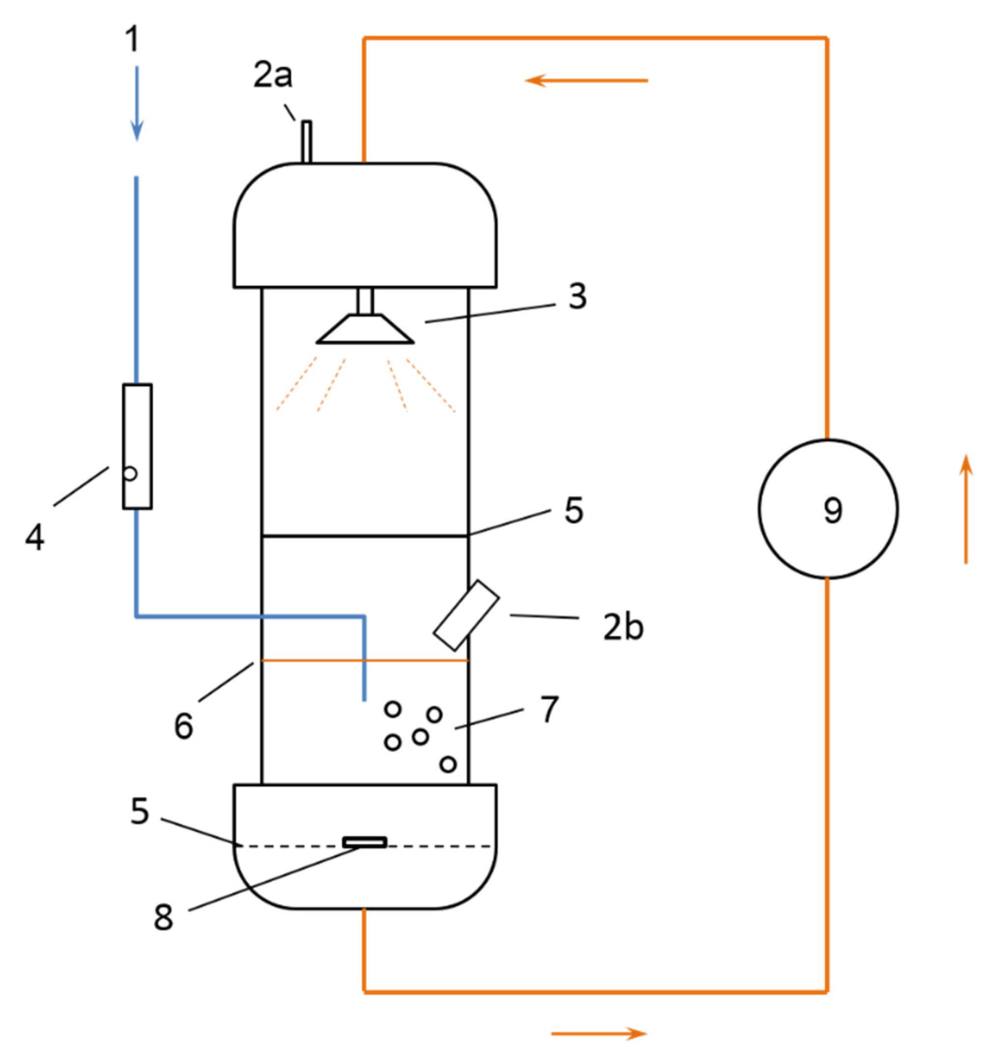 Fermentation 07 00270 g001
