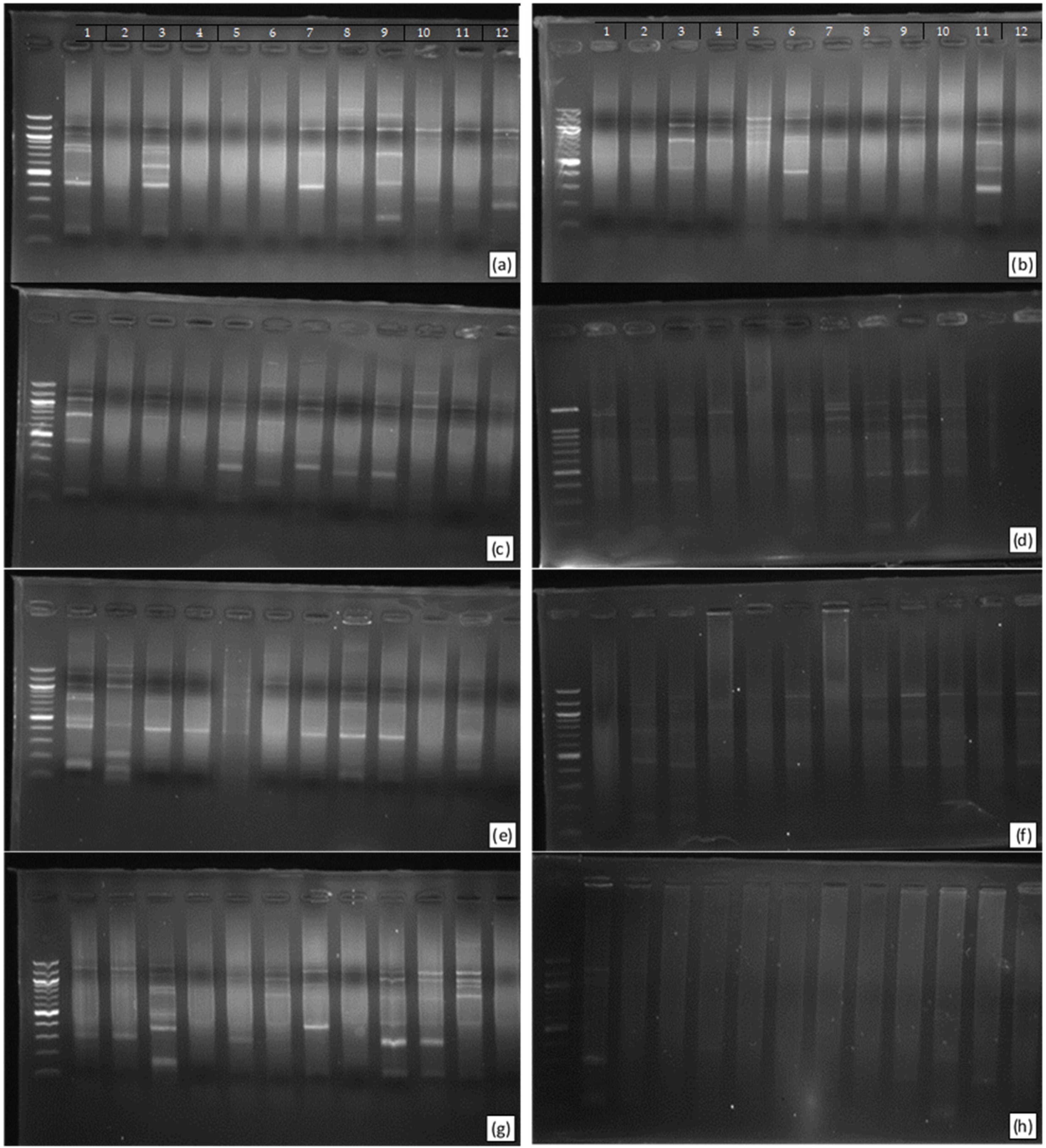 Fermentation 07 00280 g001 Fermentation 07 00280 g001