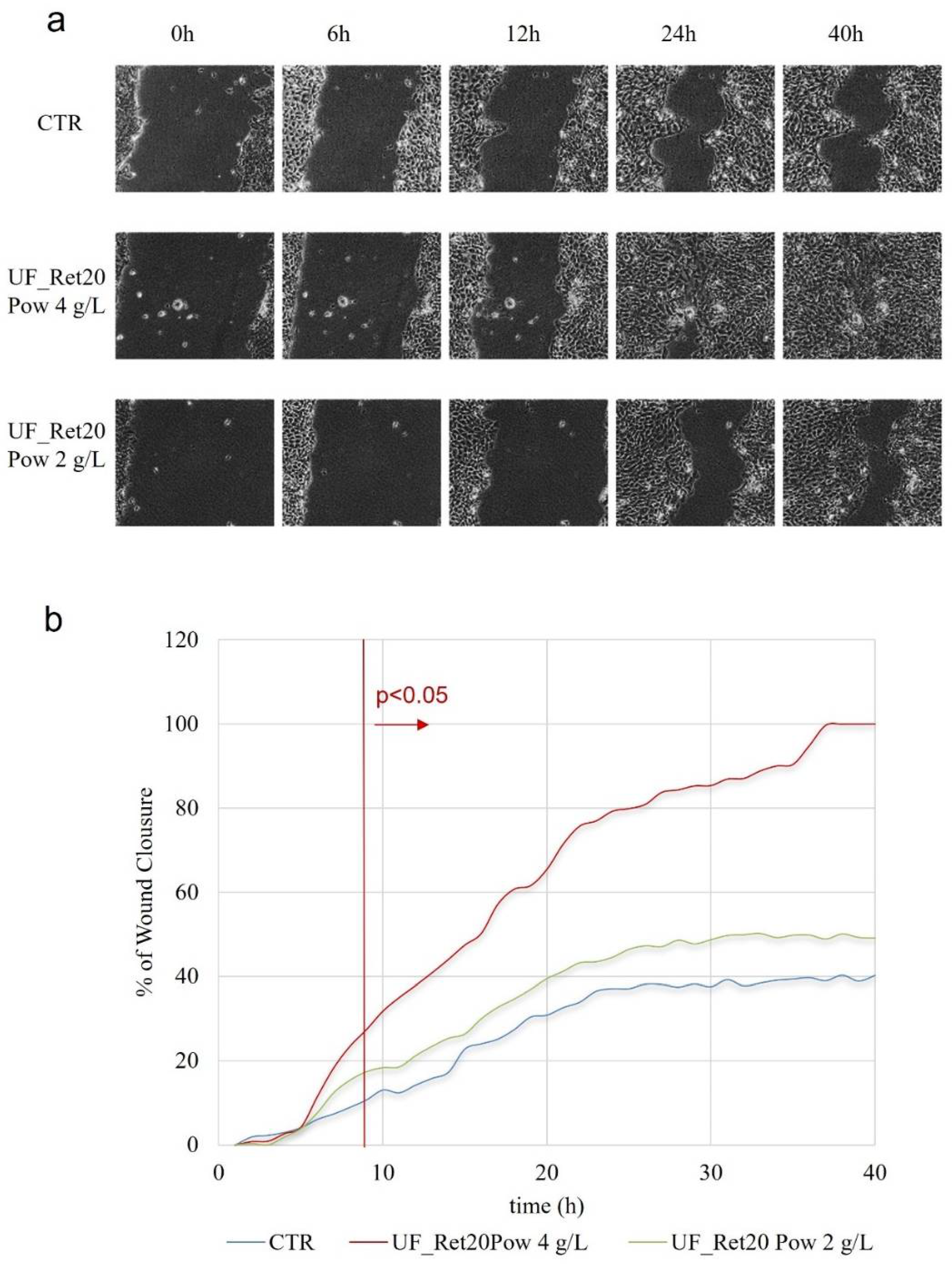 Fermentation 07 00281 g003