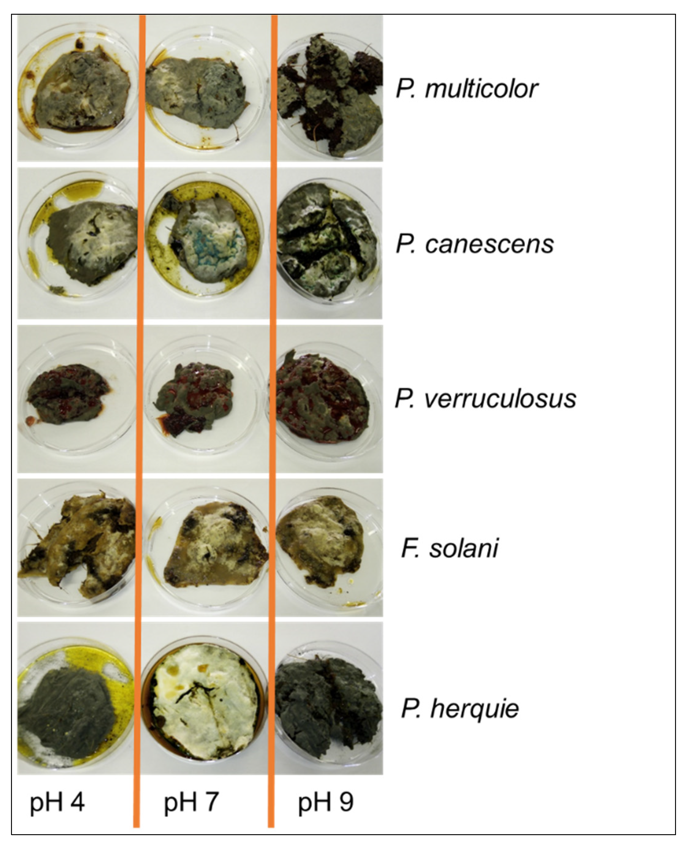 Fermentation 07 00295 g006
