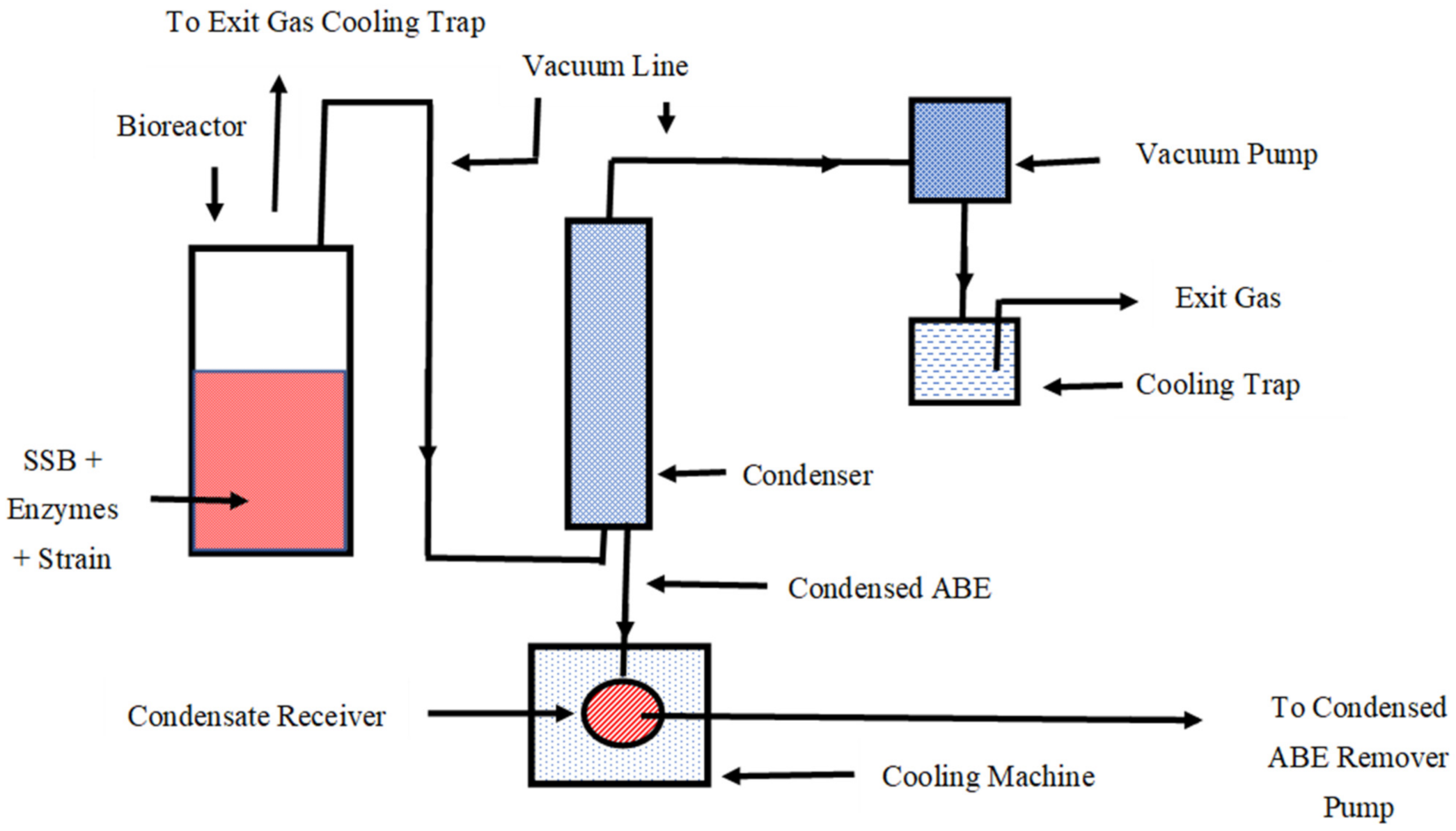 Fermentation 07 00310 g001