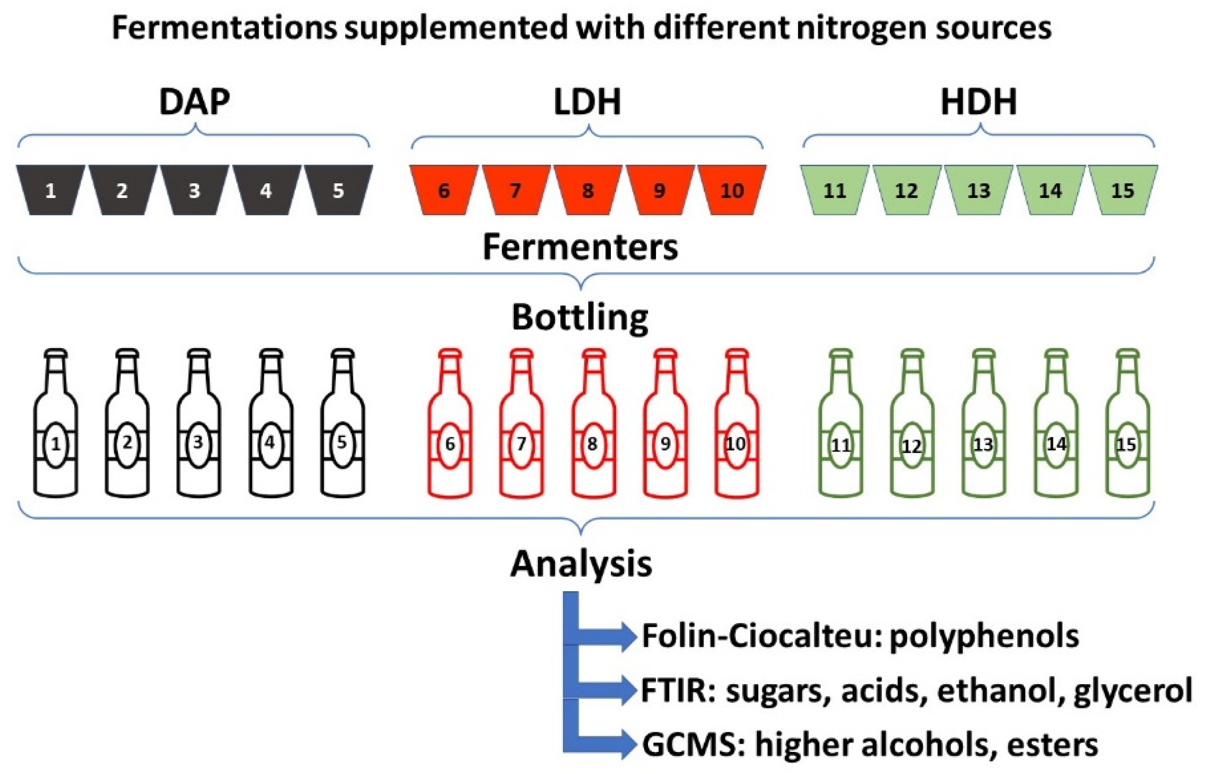 Fermentation 07 00313 g001