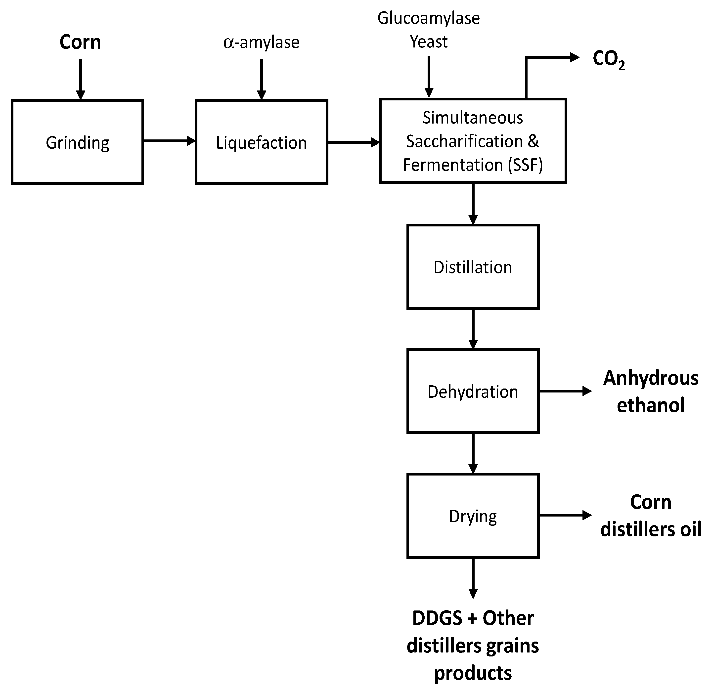 Fermentation 07 00314 g001