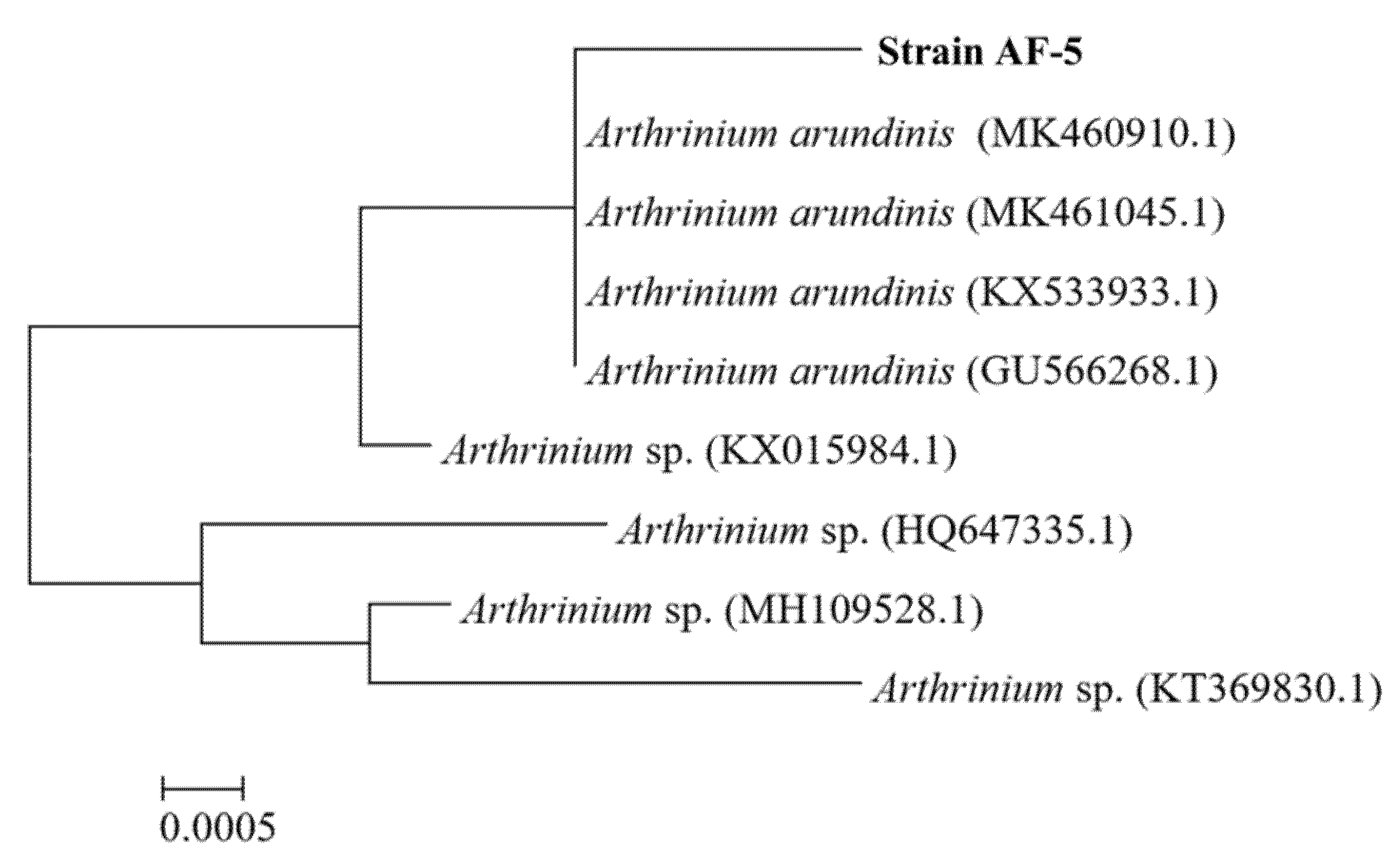 Fermentation 07 00316 g002 Fermentation 07 00316 g002