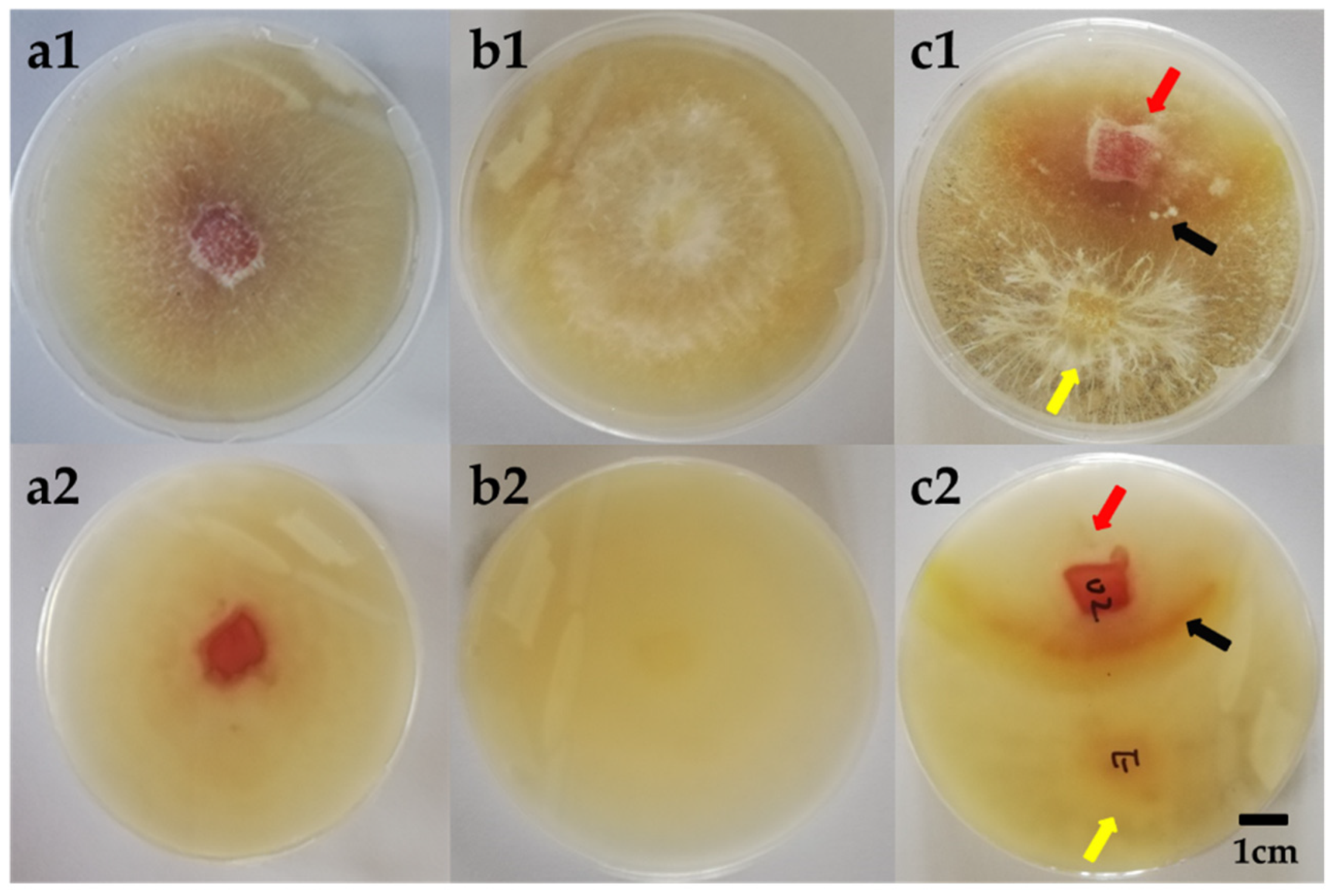 Fermentation 07 00316 g003 Fermentation 07 00316 g003
