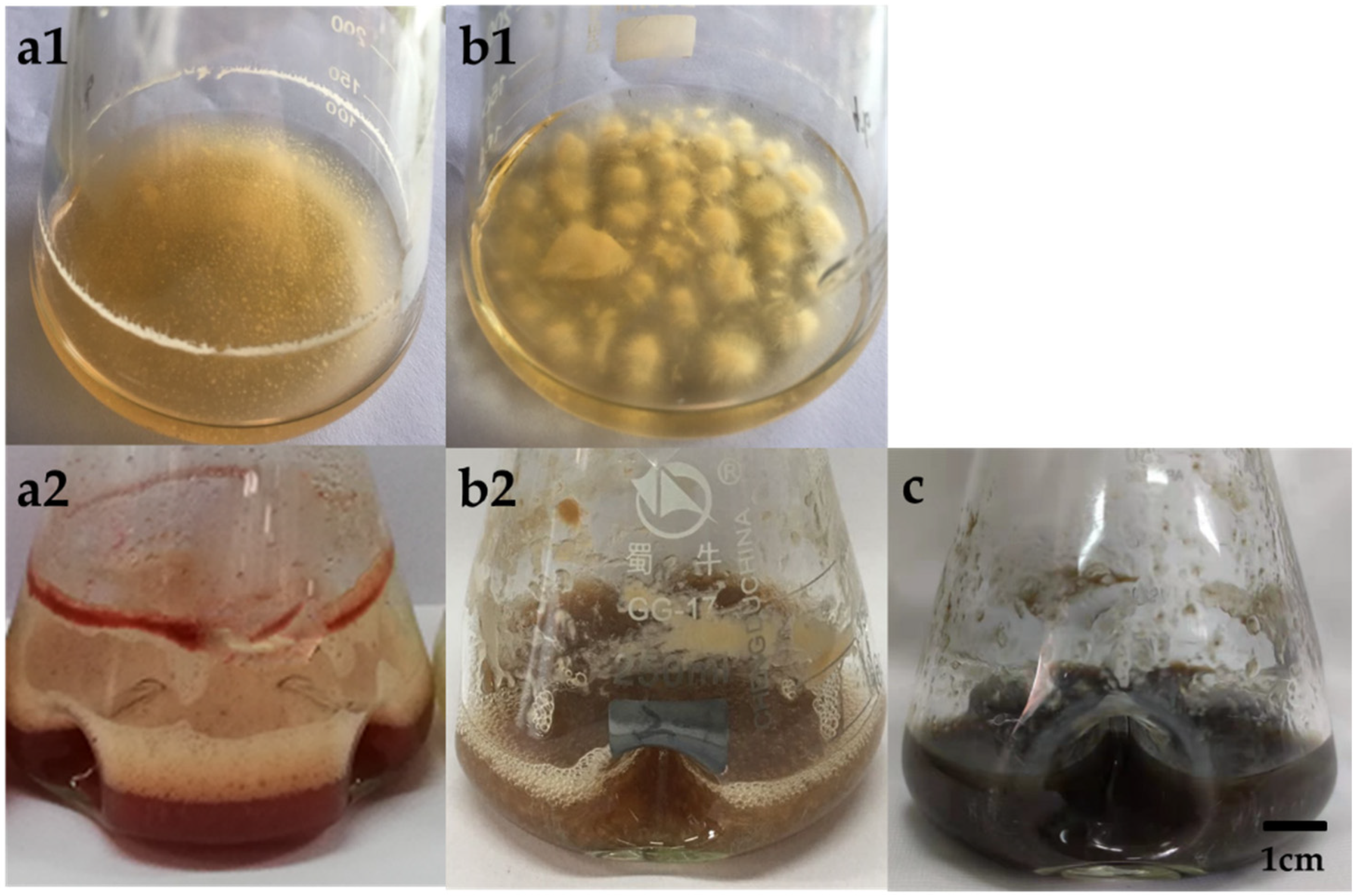 Fermentation 07 00316 g004 Fermentation 07 00316 g004