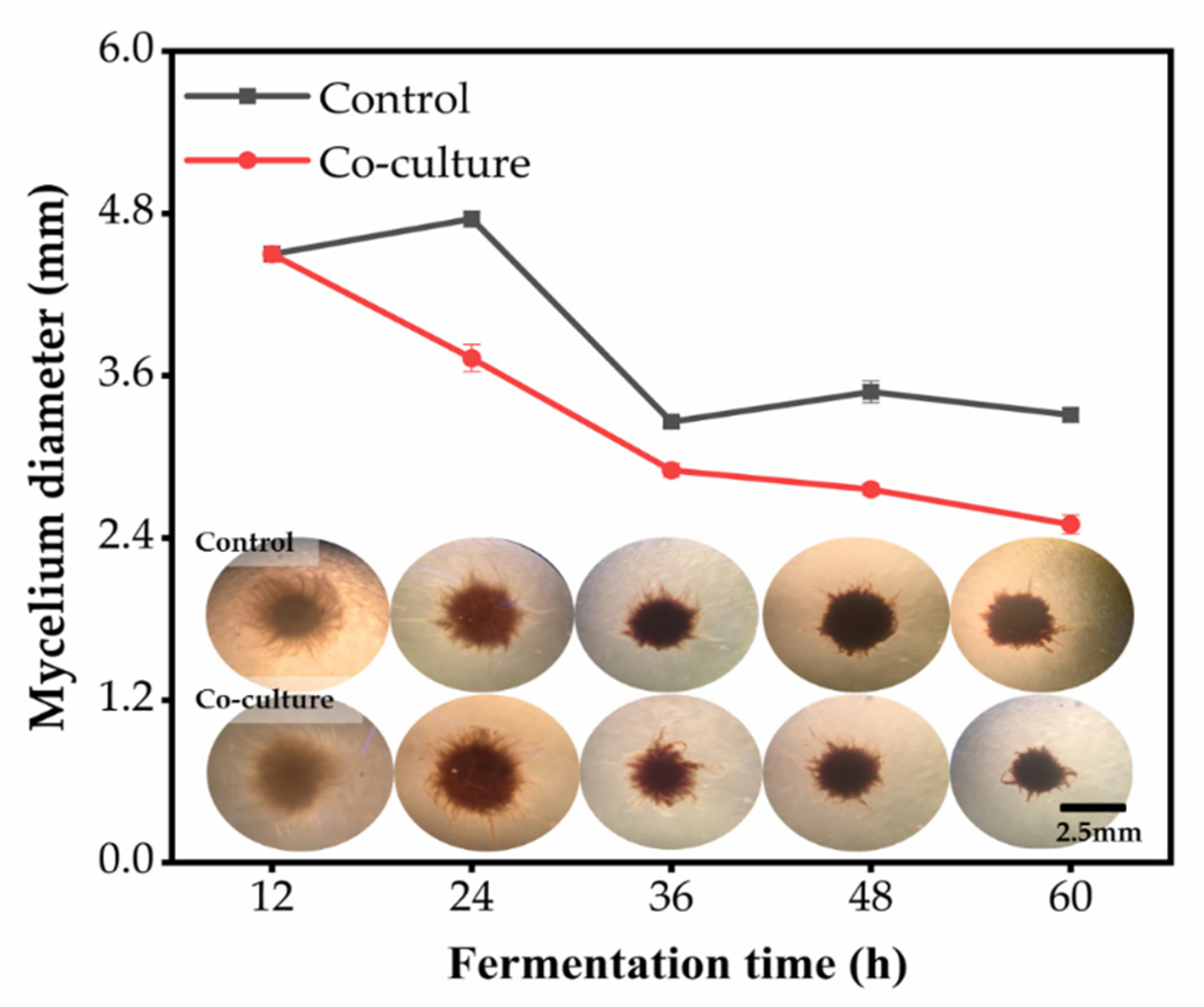 Fermentation 07 00316 g009 Fermentation 07 00316 g009