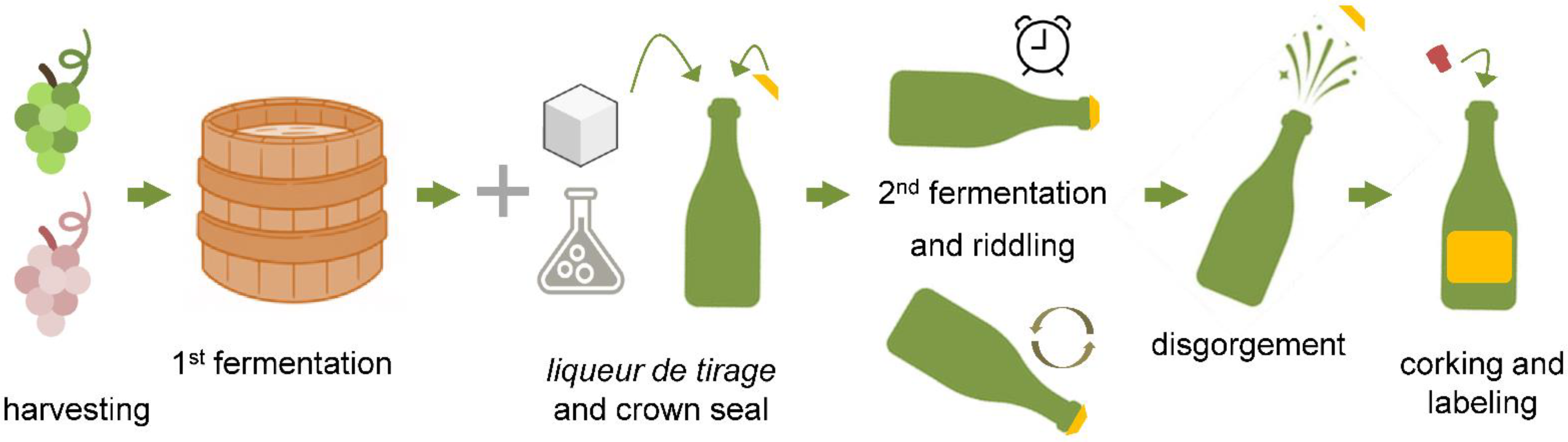 Fermentation 07 00321 g001