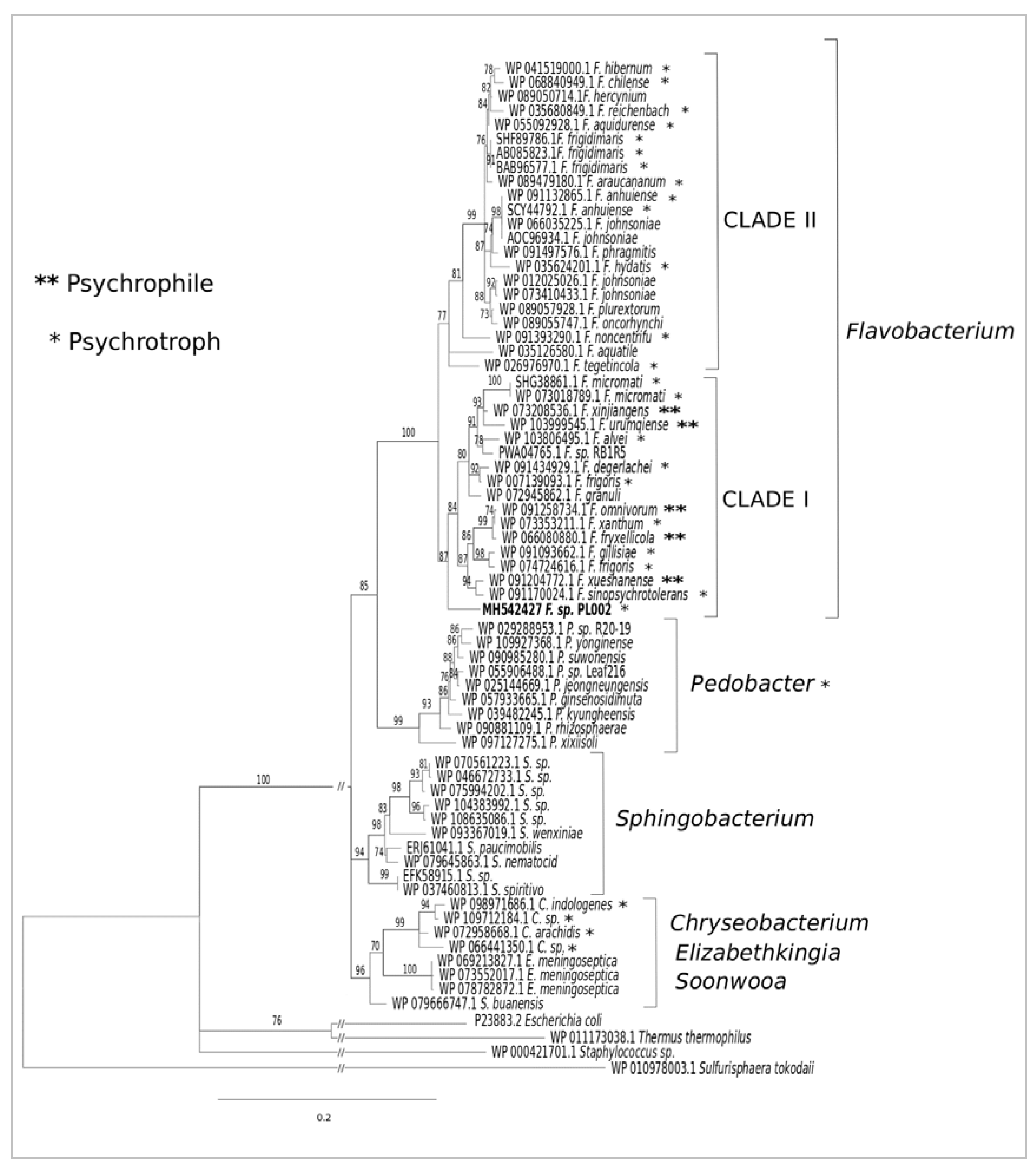 Fermentation 08 00007 g001