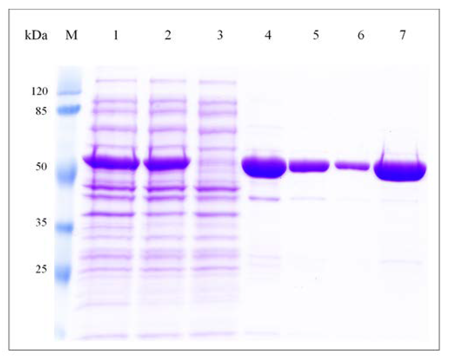 Fermentation 08 00007 g003