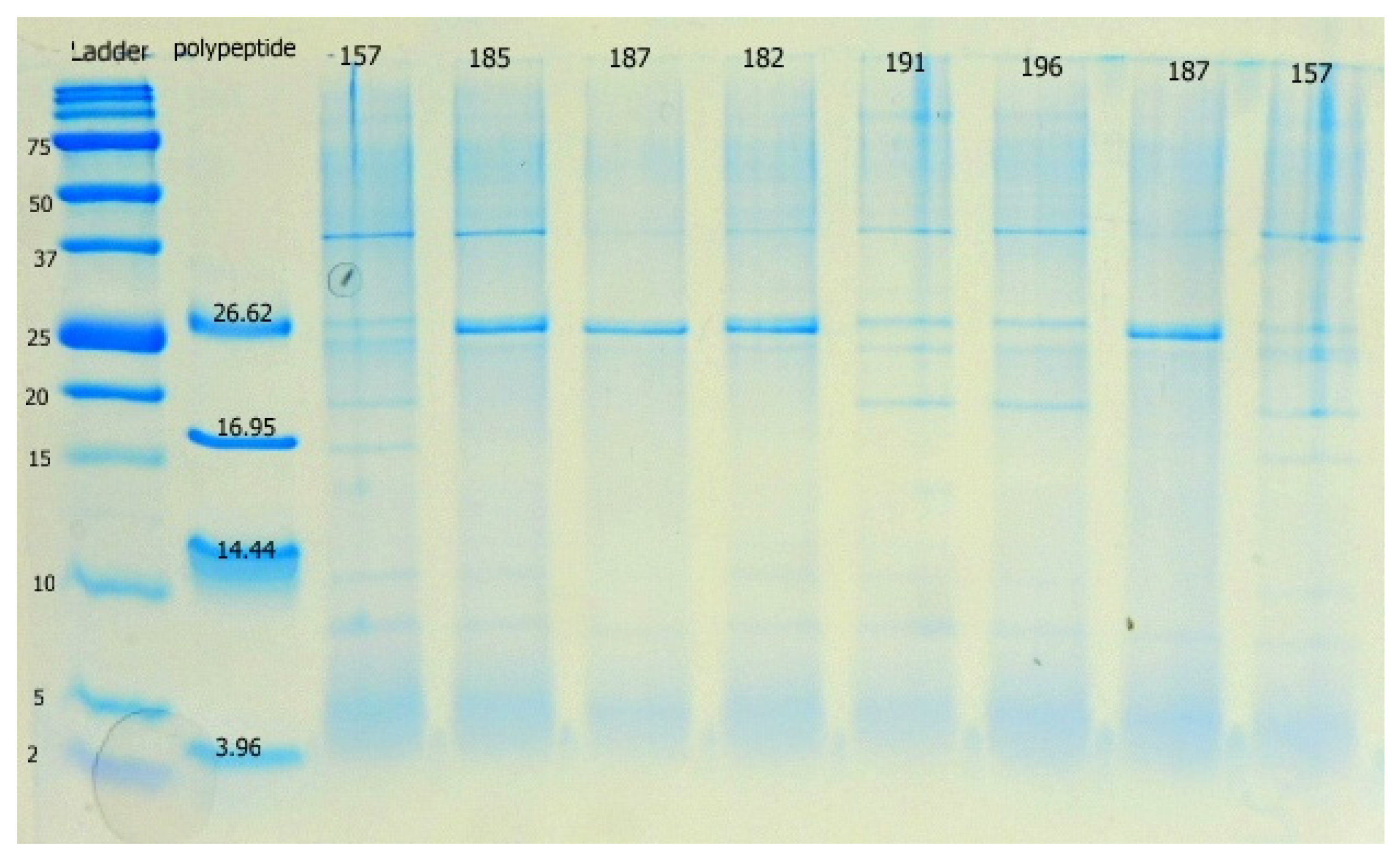 Fermentation 08 00014 g001