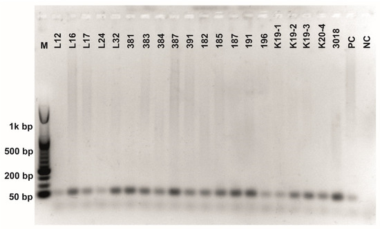 Fermentation 08 00014 g0a3 550