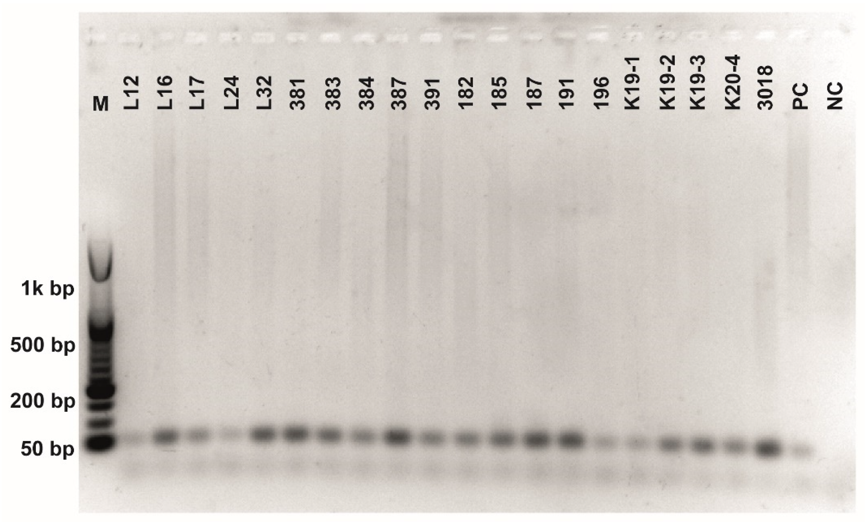 Fermentation 08 00014 g0a3
