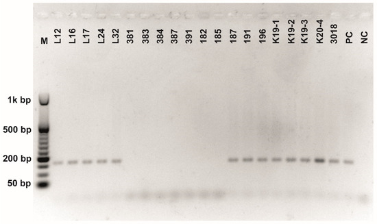 Fermentation 08 00014 g0a4 550