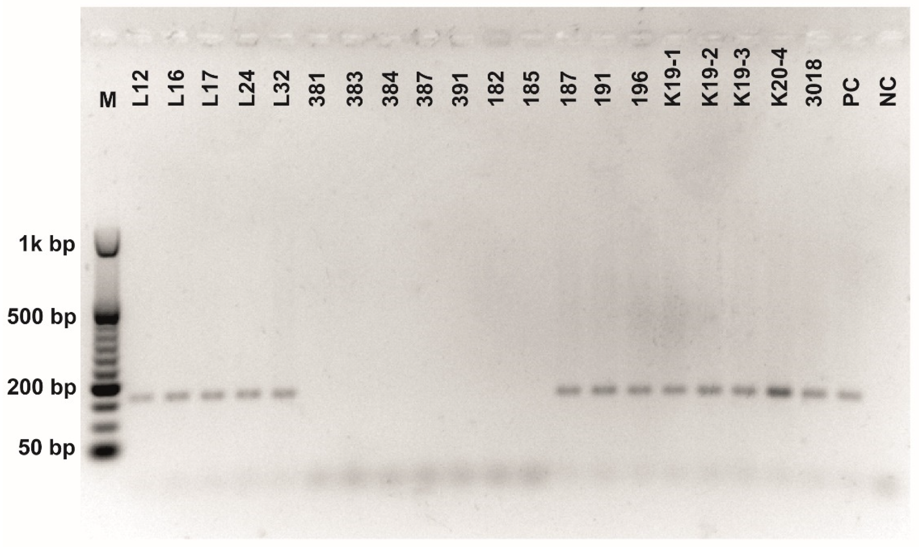 Fermentation 08 00014 g0a4