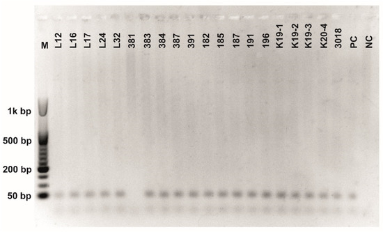 Fermentation 08 00014 g0a5 550