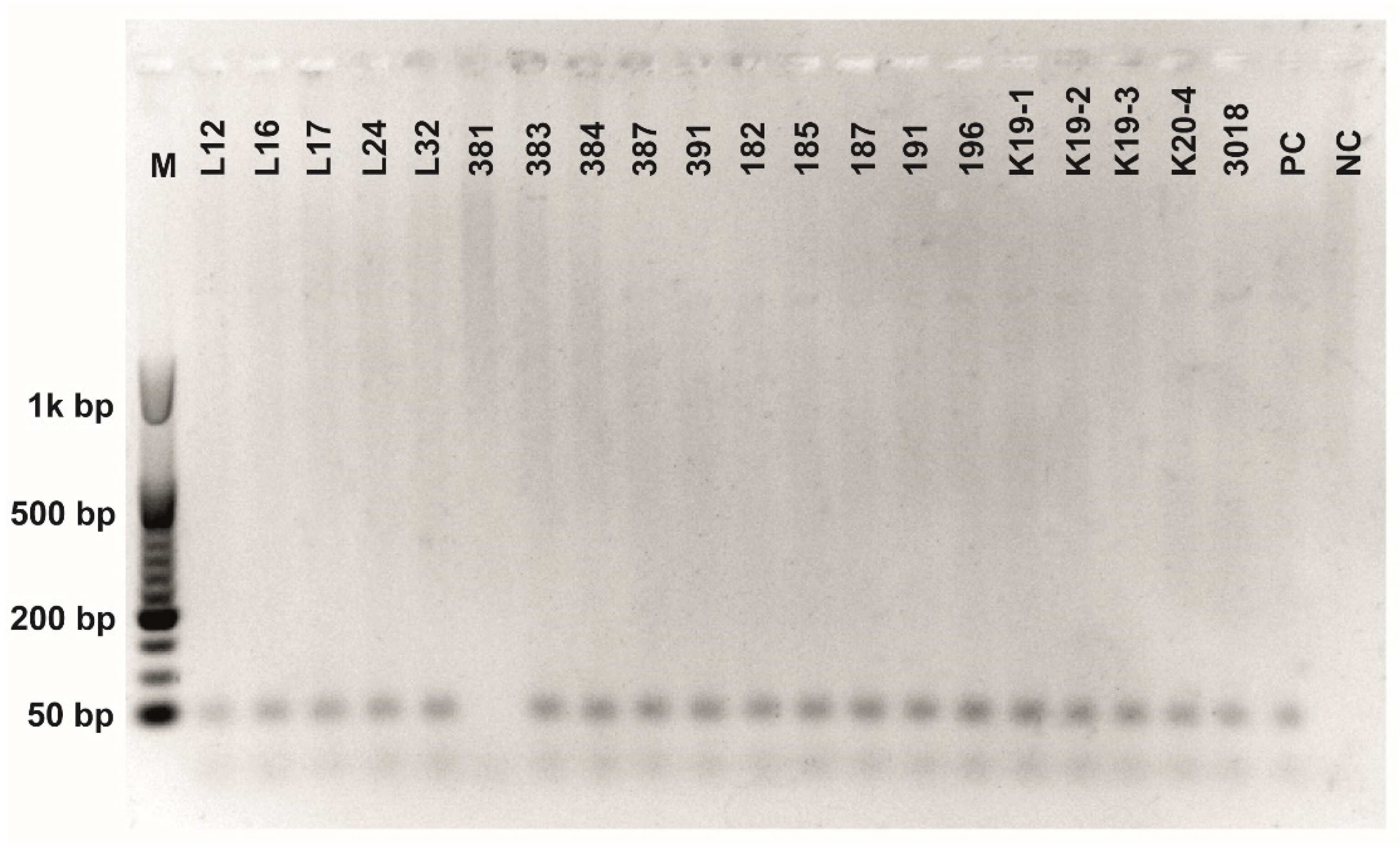 Fermentation 08 00014 g0a5