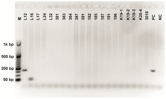 Fermentation 08 00014 g0a6 550